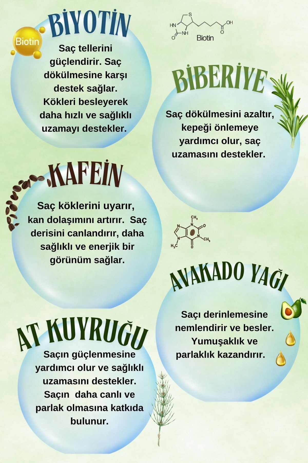 myVelda Biberiye, At Kuyruğu, Avokado Yağı ve Panthenol ile Saç Derisine Güç, Saçlara Canlılık Verir — Vt20 — تصویر 3 از 5