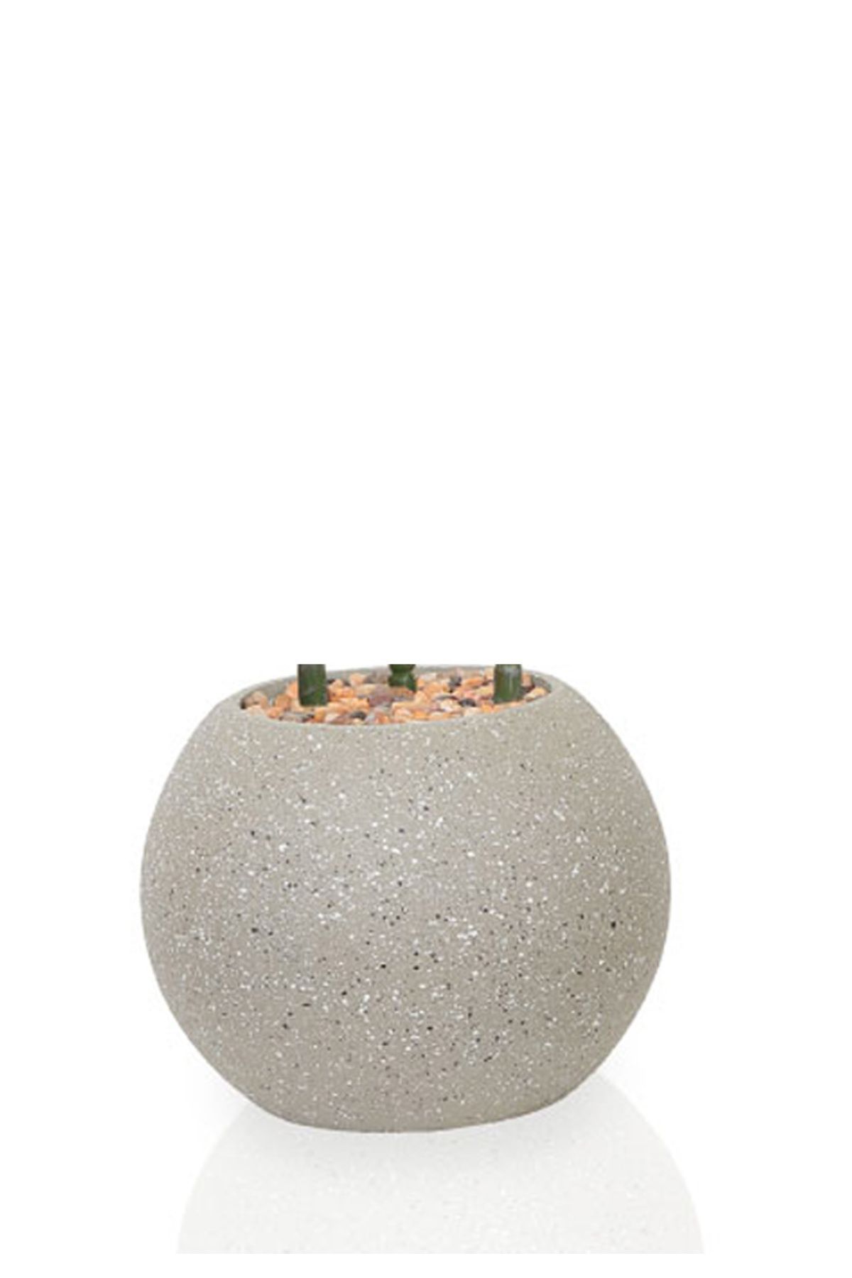 Generic-Artificial Vius Umbellata Tree with Round Plastic Stand 2