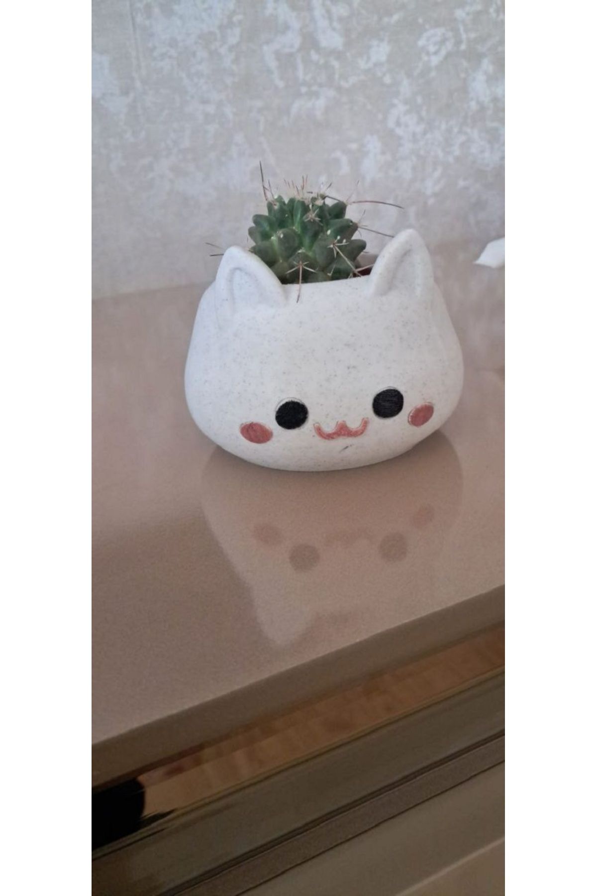 ALPAXA ALPAXA3D Kedi Figürlü Sukulent Saksısı Mermer Desenli