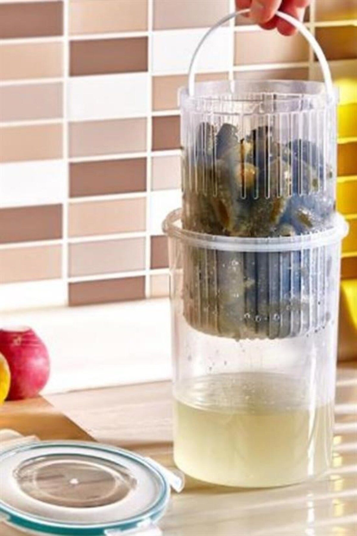 COLLECTİON Zeytin Turşu Kabı Sebze Yıkama Kutusu Klipsli Kapaklı Saklama Kabı