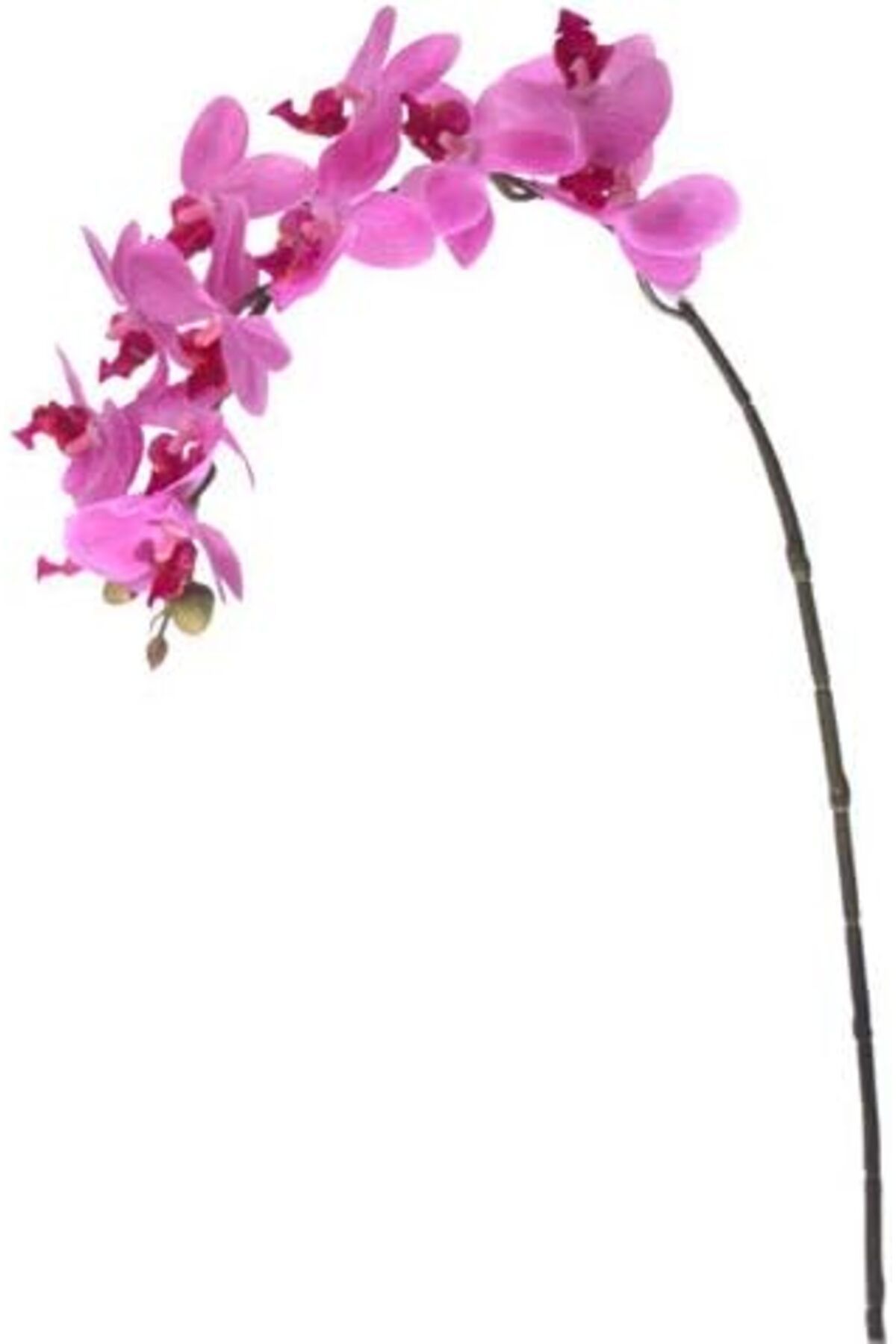 STOREMAX OZN Flora Yapay Çiçek Orkide 57.5 Cm OZNstre 1094633