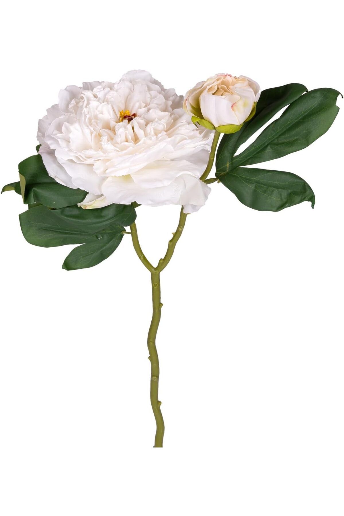 STOREMAX OZN Gül Tomurcuklu Beyaz 50 Cm. OZNstre 1094633