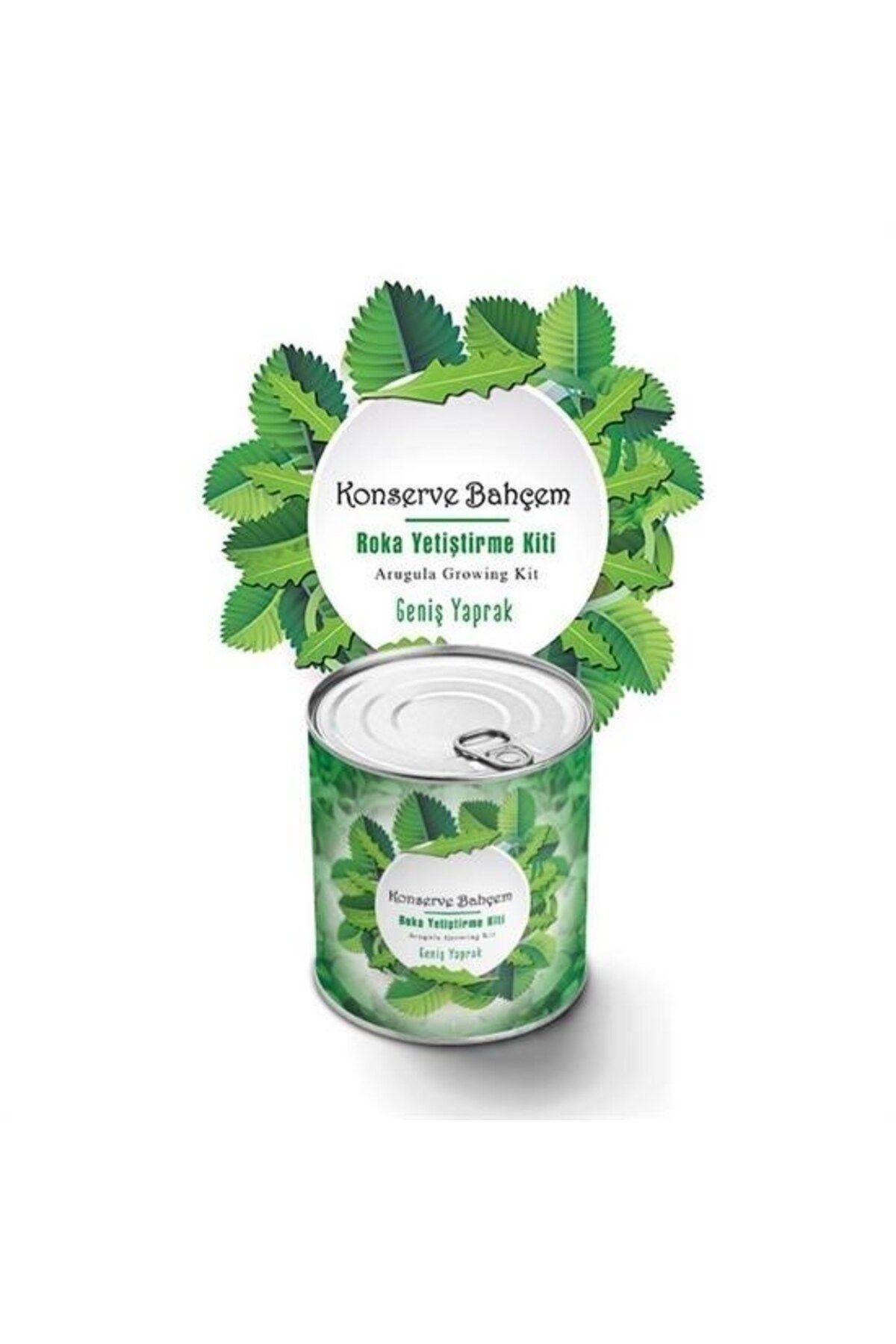 Allproduct ® Konserve Bahçem Evde Konservede İri Yapraklı Roka Yetiştirme Kiti