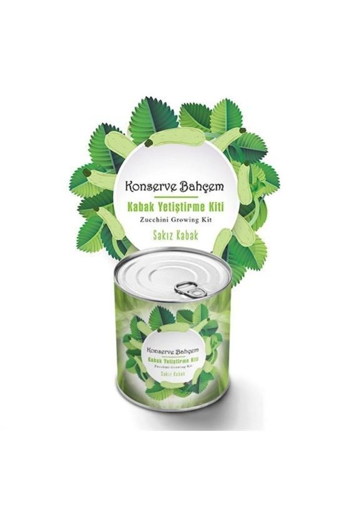 Allproduct ® Konserve Bahçem Evde Konservede Sakız Kabak Yetiştirme Kiti