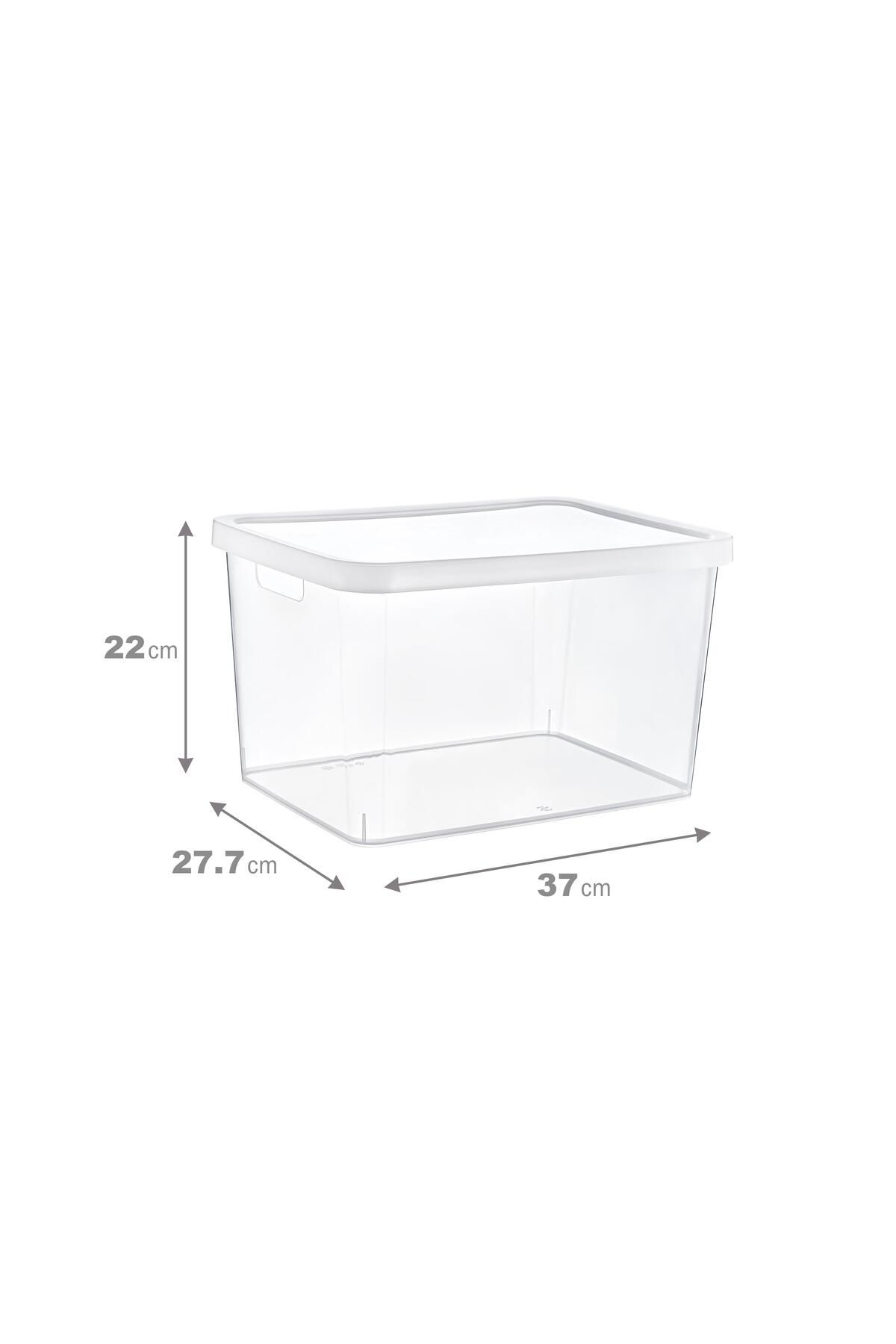 Smartware-Stafi Box with Transparent Lid - Set of 4, 18 Lt, Multi-Purpose 4