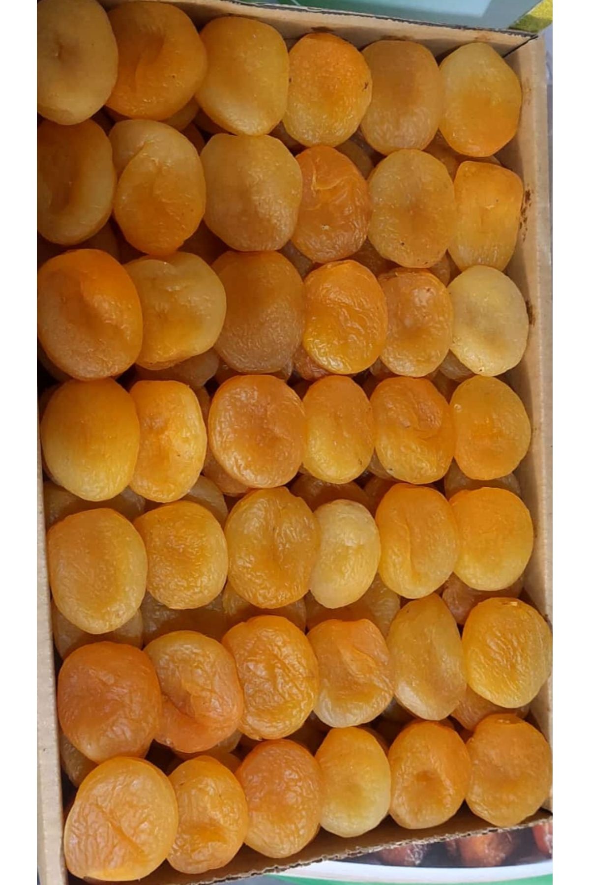 Adresantep Kayısı Sarı Jumbo 1 kg