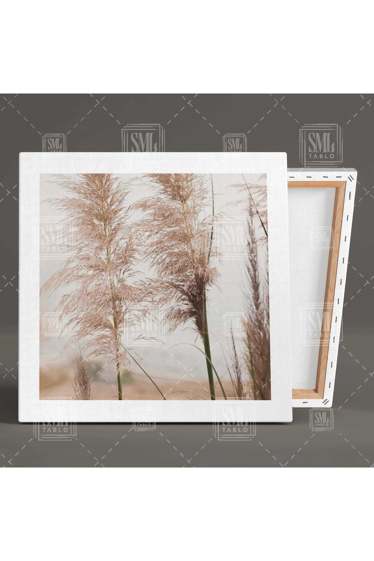 SML TABLO-Pampas Boho Style Scandinavian Style Canvas Fashion Square Canvas Print 2