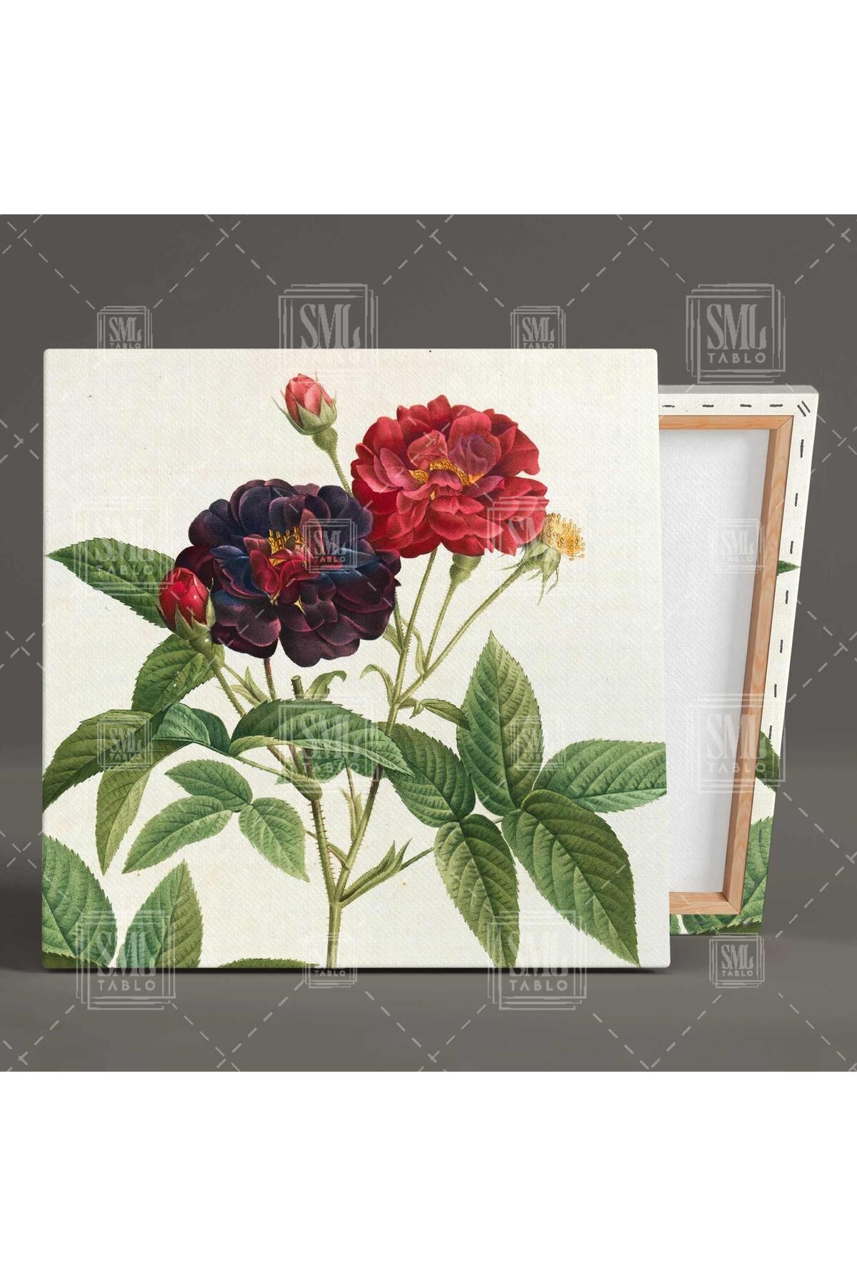 SML TABLO-Rose Branch with Red and Purple Blooming Buds Square Art Print 2