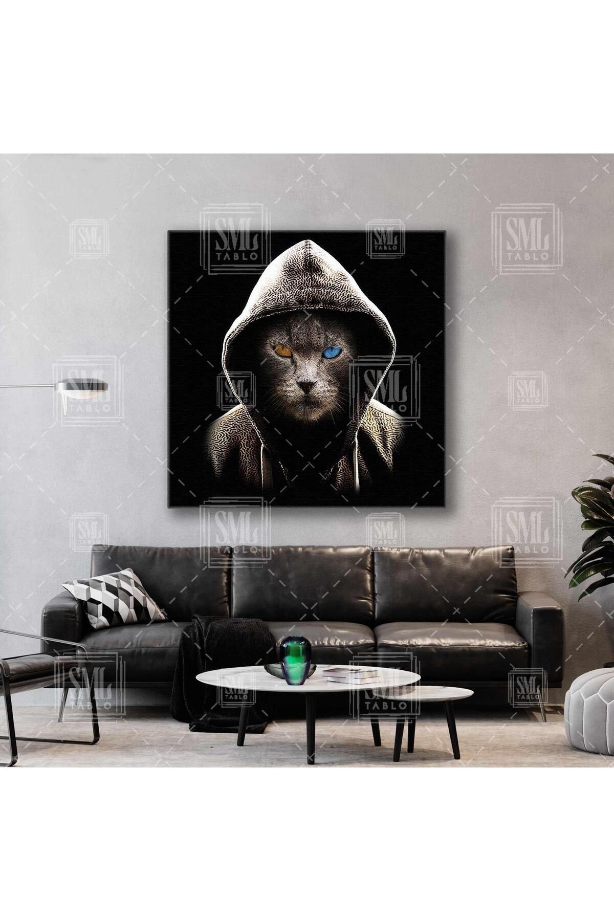 SML TABLO-Hacker Mysterious Cat Van Cat Square Canvas Painting cu ochi colorați 1
