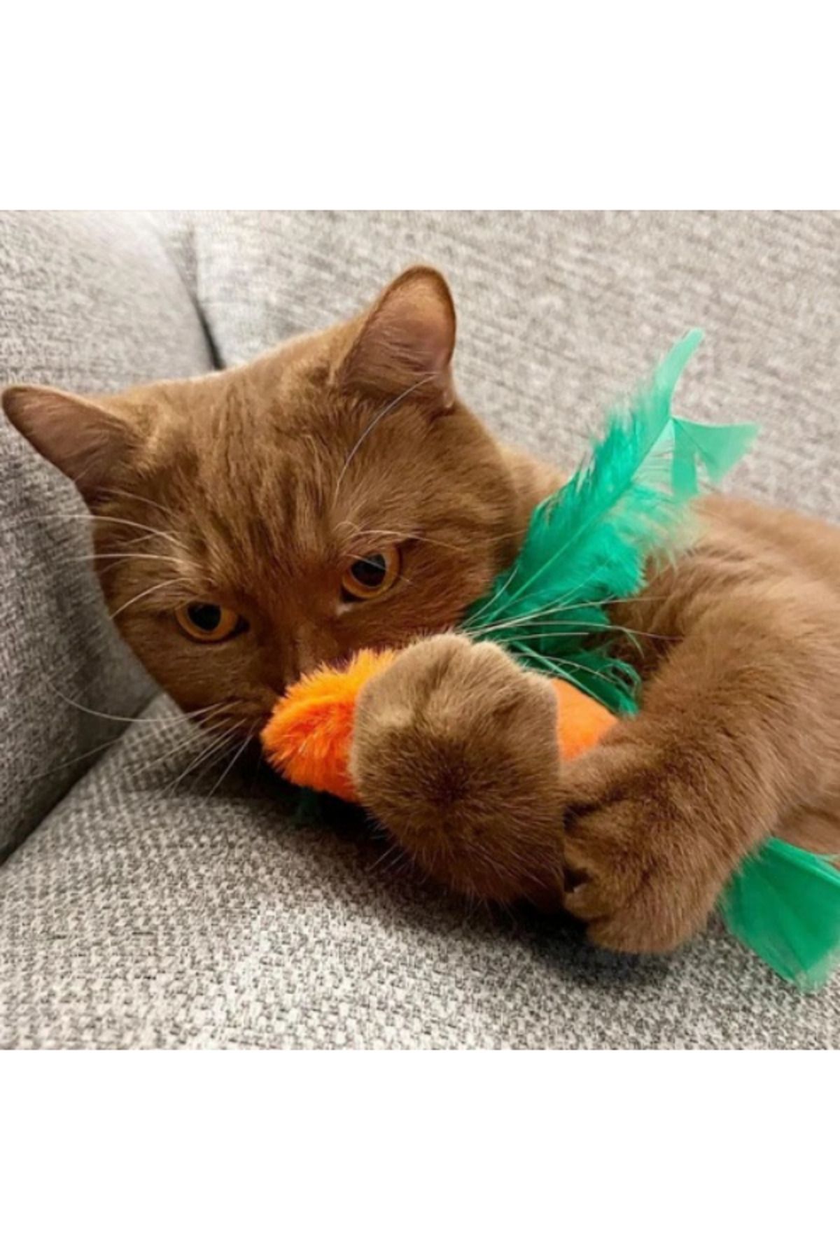 Miyav-Pumpkin Plush Cat Toy with Catnip 3