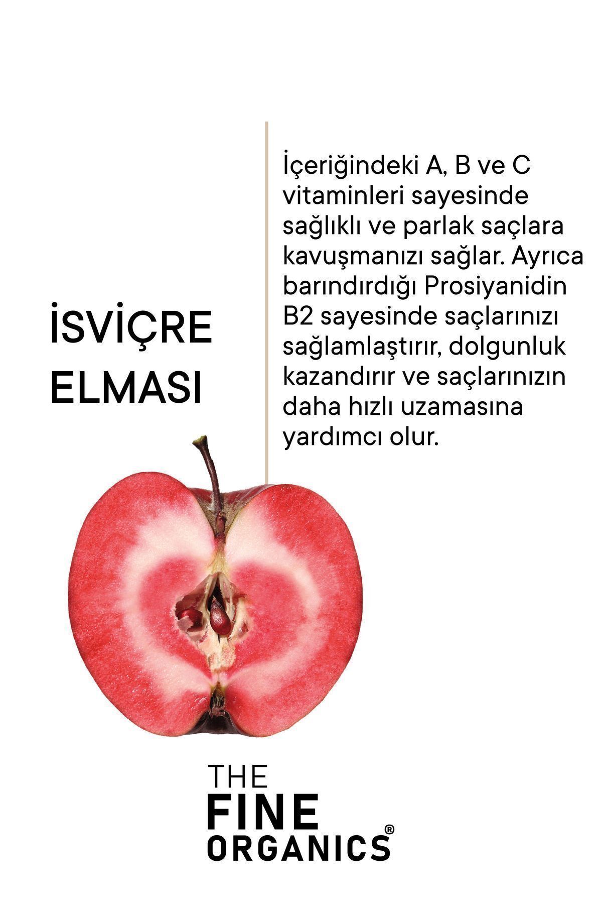 سرم و روغن مو مردانه زنانه مراقبت از آرگان سوئیس 100 میل THE FINE ORGANICS