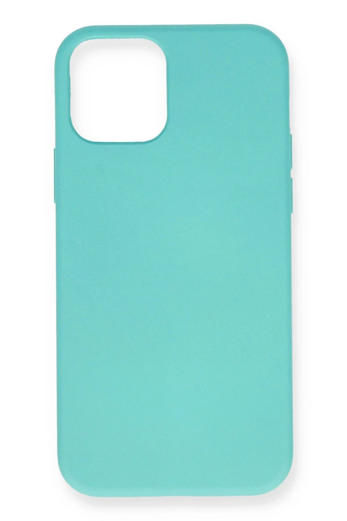 NewFace iPhone 12 Mini Uyumlu Kılıf Nano içi Kadife Silikon - Turkuaz MRAYD