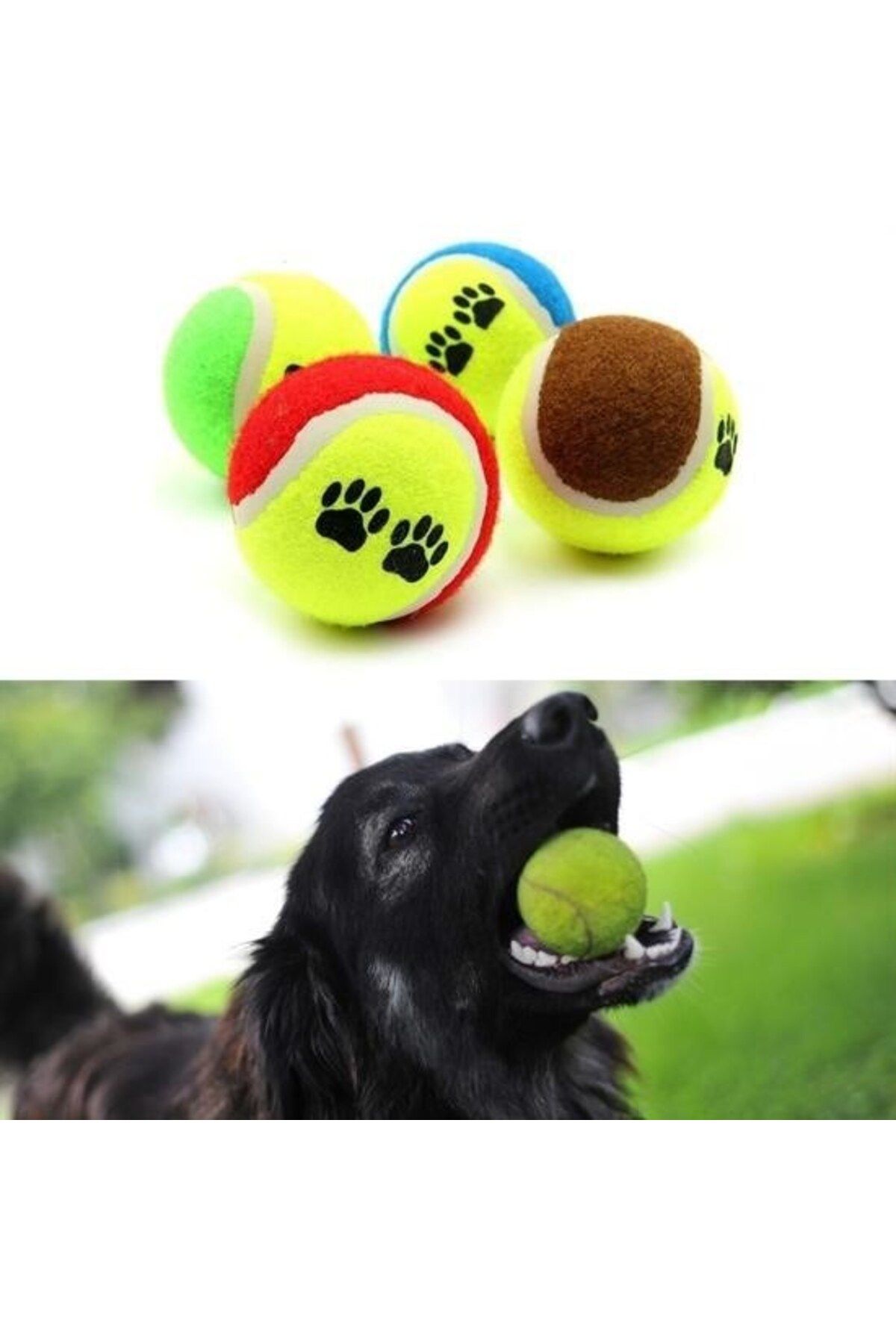 COLLECTİON 3 adet kedi köpek oyuncağı Renkli Desenli Tenis Topu Kedi Köpek Oyuncağı