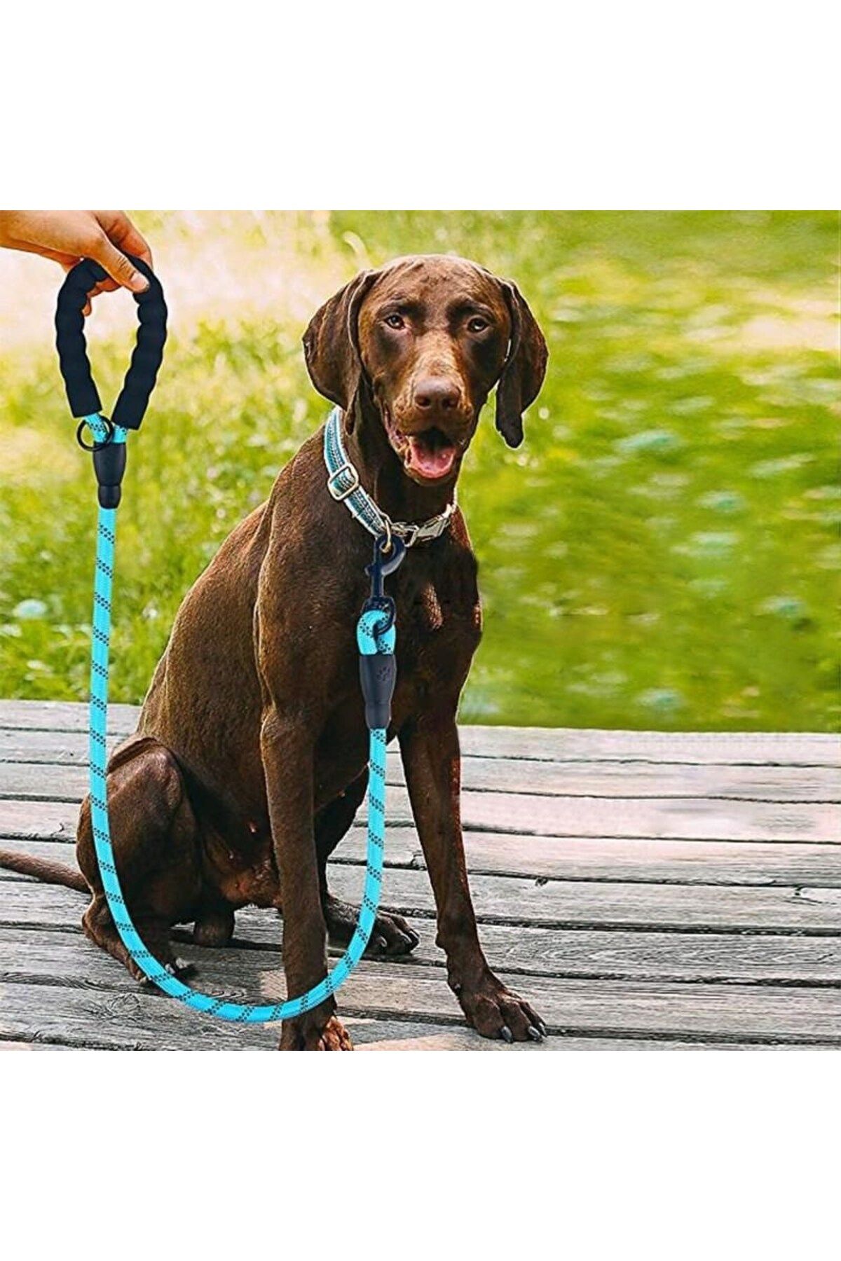 COLLECTİON köpek gezdirme halatı Reflektörlü fosforlu Köpek Gezdirme Halatı Tasma Kayışı Metal Kancalı 130 cm