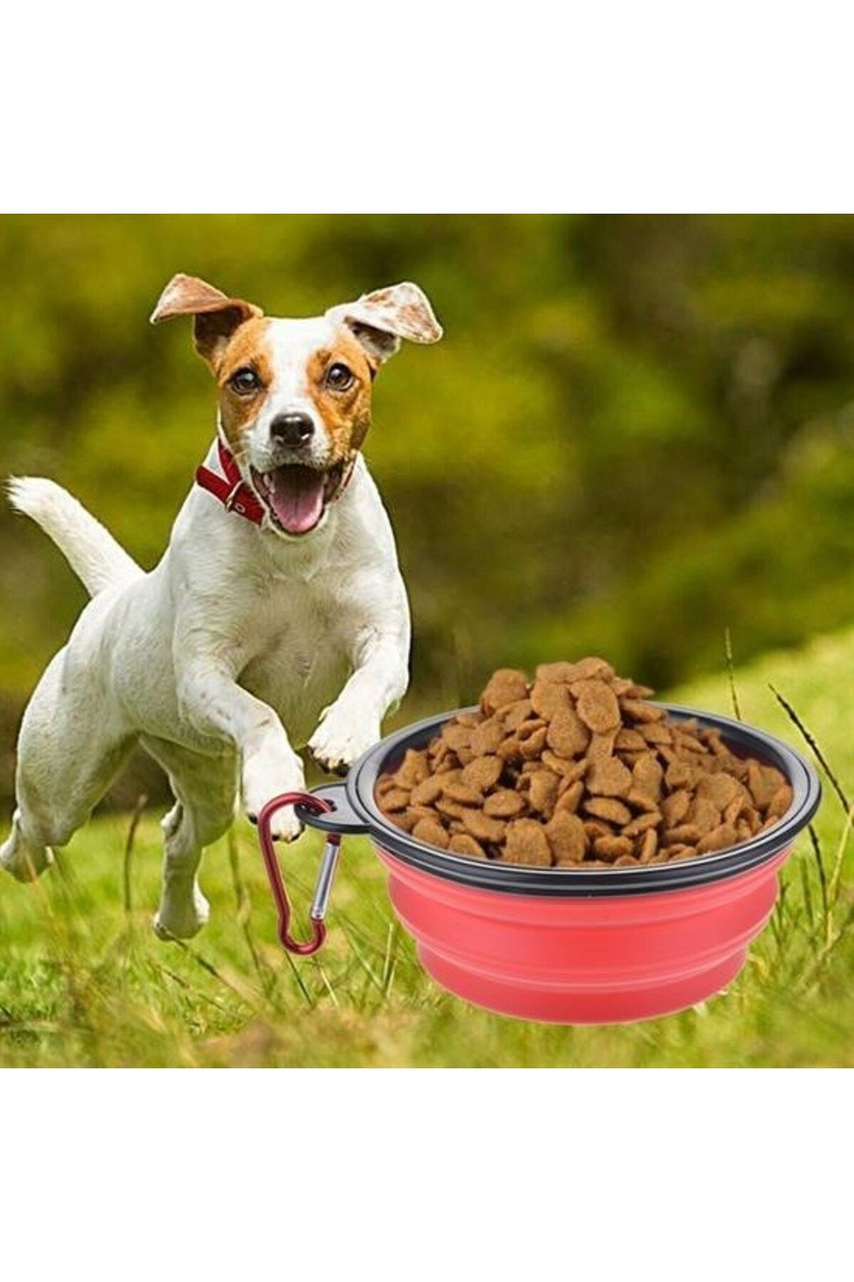 STOREMAX buxystorem Katlanabilir Kedi Köpek Mama ve Su Kabı Köpek Oyuncağı trendymx 999662