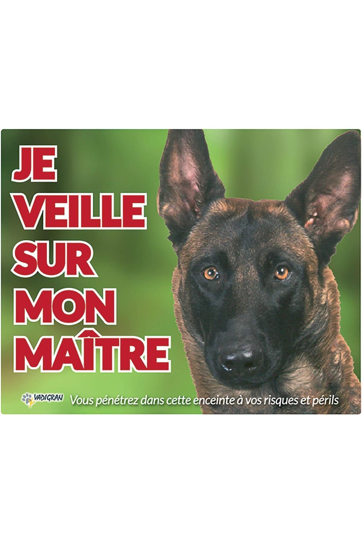 yenibagshop Vadigran Malinois Köpek Fotoğraf Tabelası