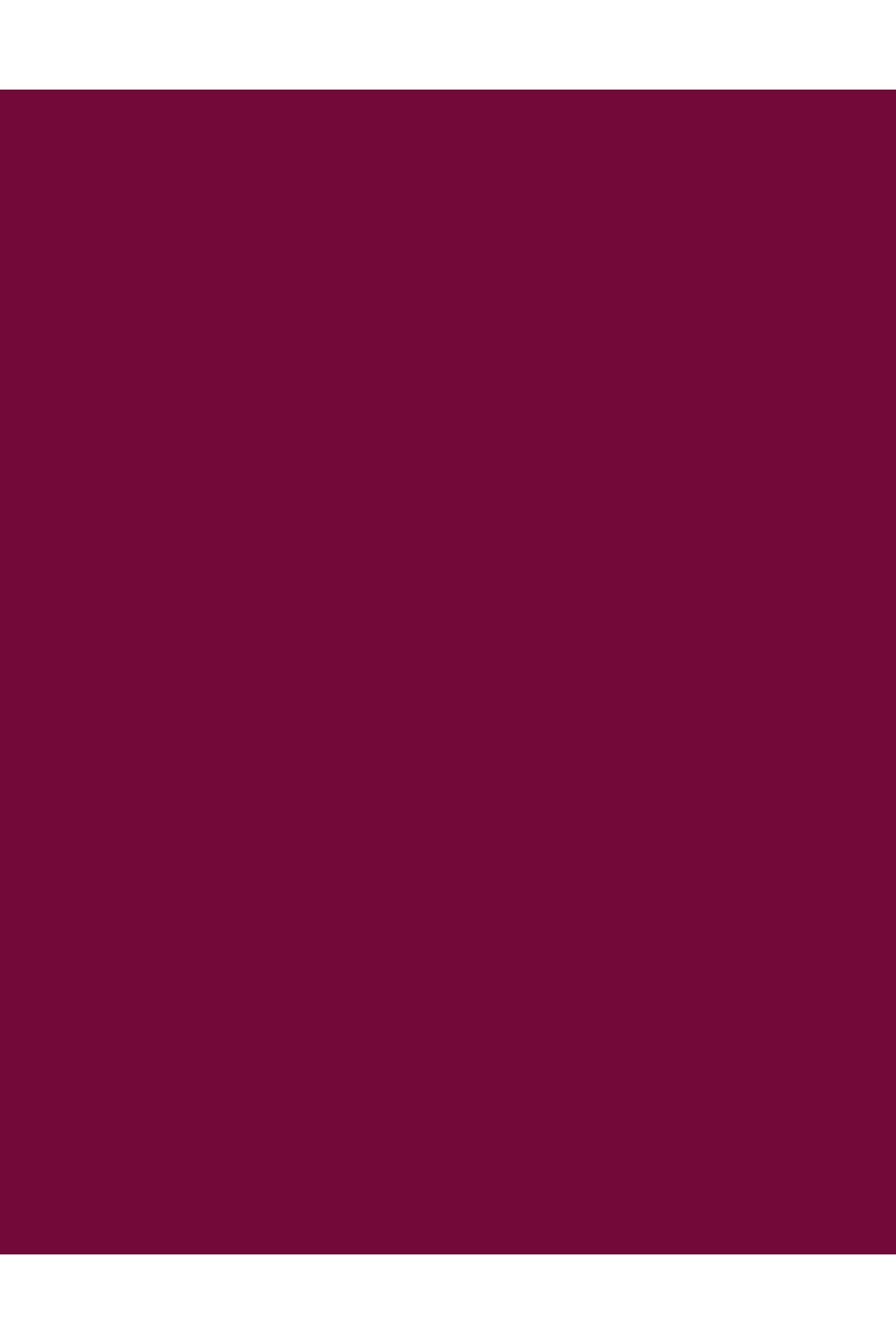 Flormar-Flormar Jelly Look Nail Enamel JL07 Ruby 3
