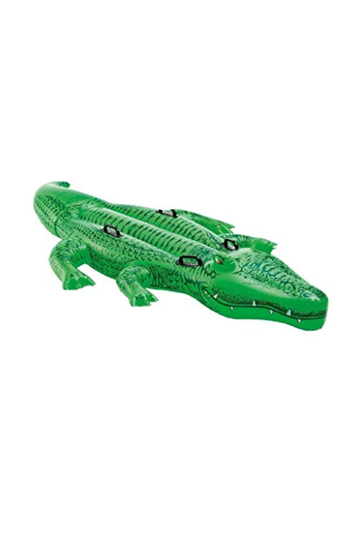 fulina-Inflatable Pool Float, Handsome Crocodile, Suitable for Children to Play in the Pool / Swim Practice 1