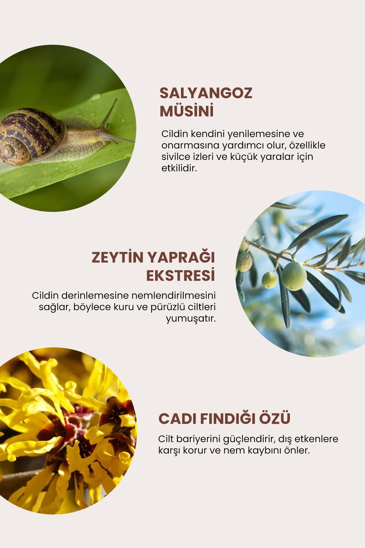 DEOPROCE-Brightening and Renewing Bulb with Snail Content 4