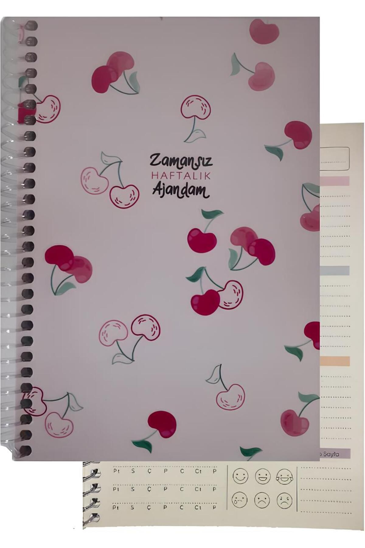 mcolor ZAMANSIZ AJANDA SPİRALLİ SERT KAPAK HAFTALIK DEFTER 17x24