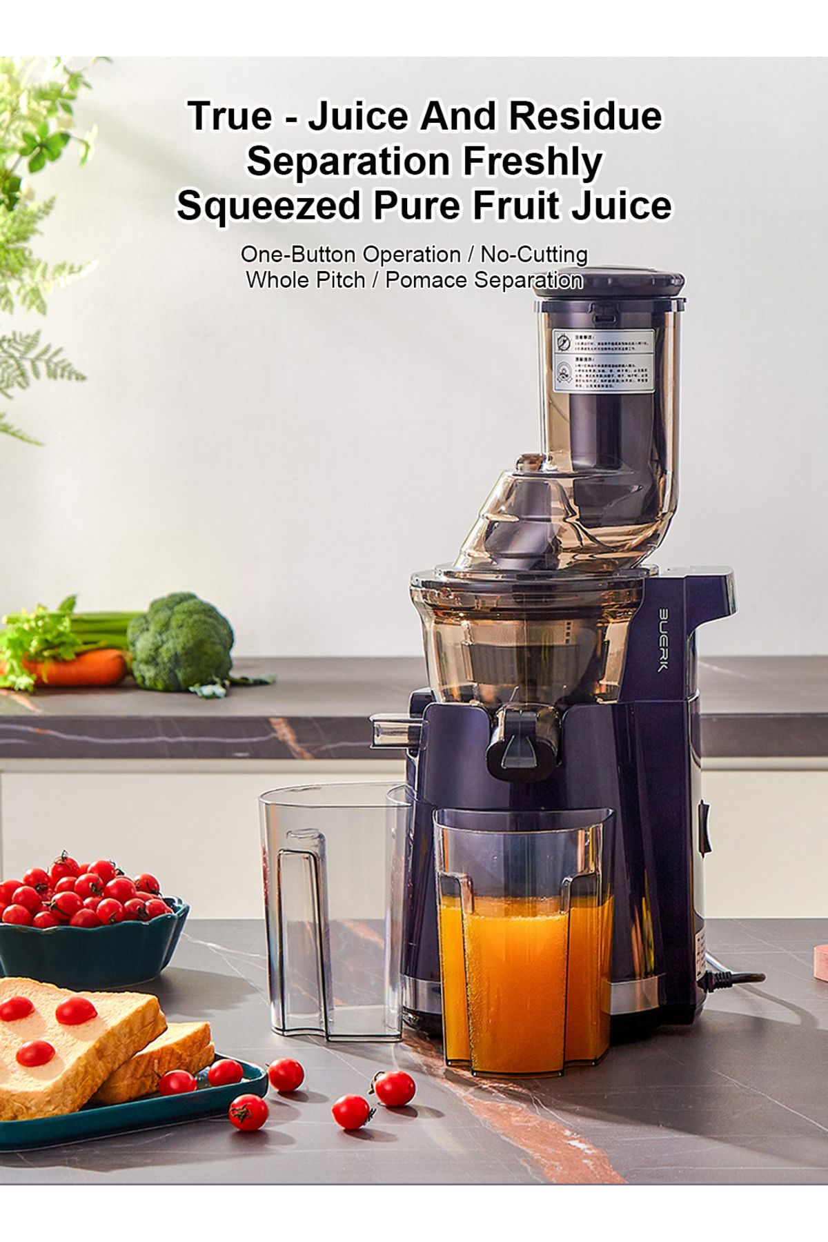 FlashHawk-Slow Masticating Juicer, Slow juicer, Fruit/Vegetable Juicer, Cold Press Juicer with High Output 5
