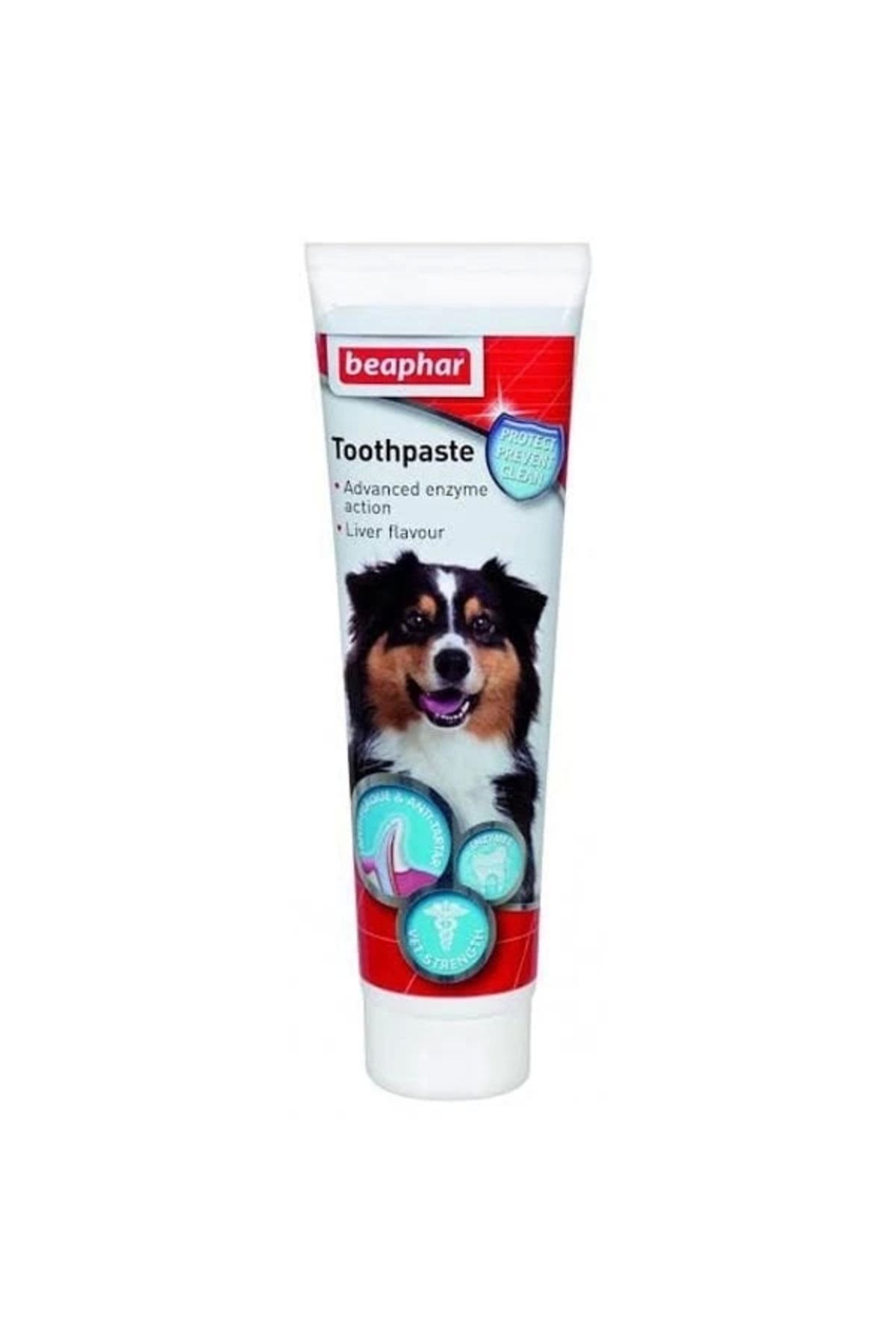 YNT İthalat Beaphar Köpekler İçin Diş Macunu 100 Ml