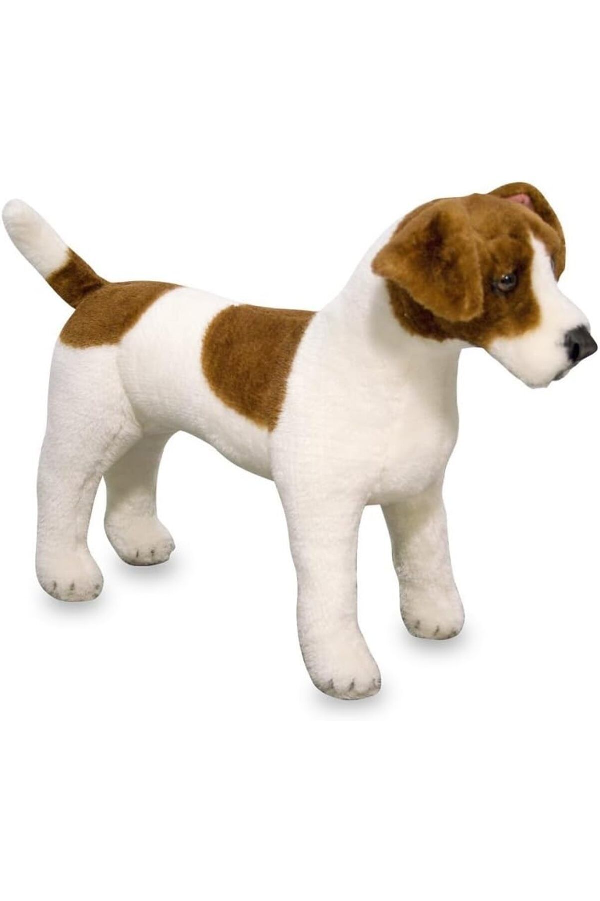 yenibagshop & Doug Dev Peluş Köpek Jack Russel Terrier (14867)