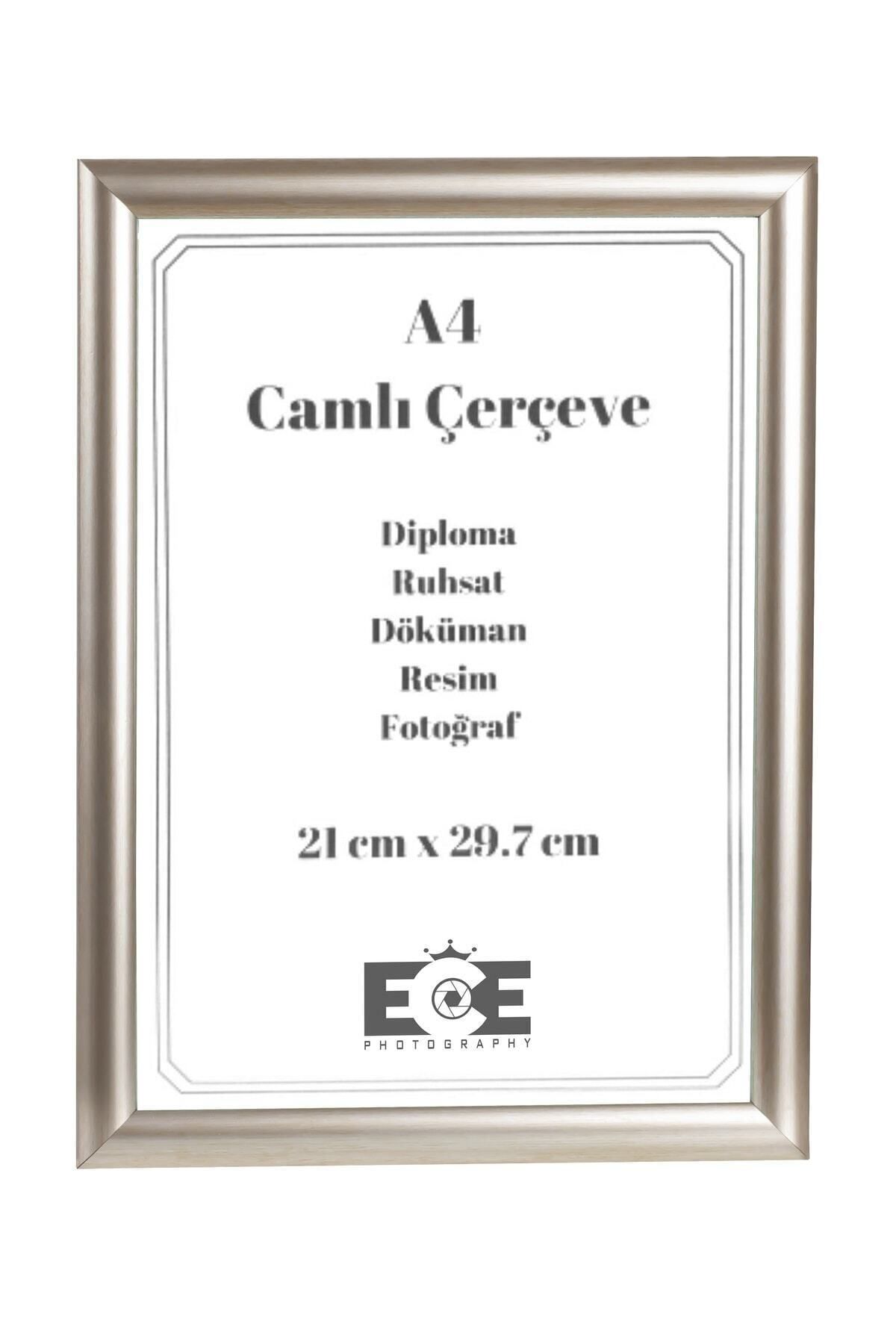 AS TİCARET 1 Adet Pvc Camlı A4 Çerçeve (GÜMÜŞ)
