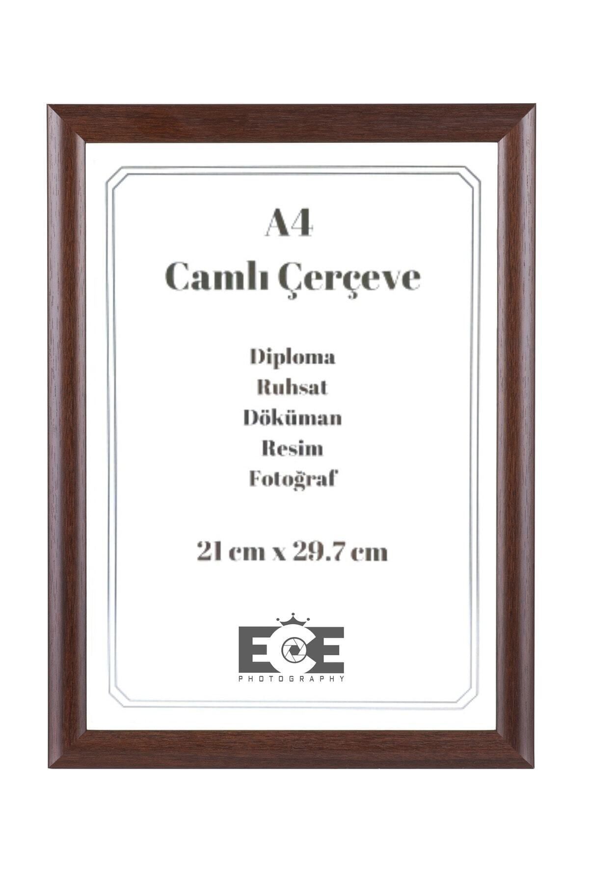 AS TİCARET 5 Adet Pvc Camlı A4 Çerçeve