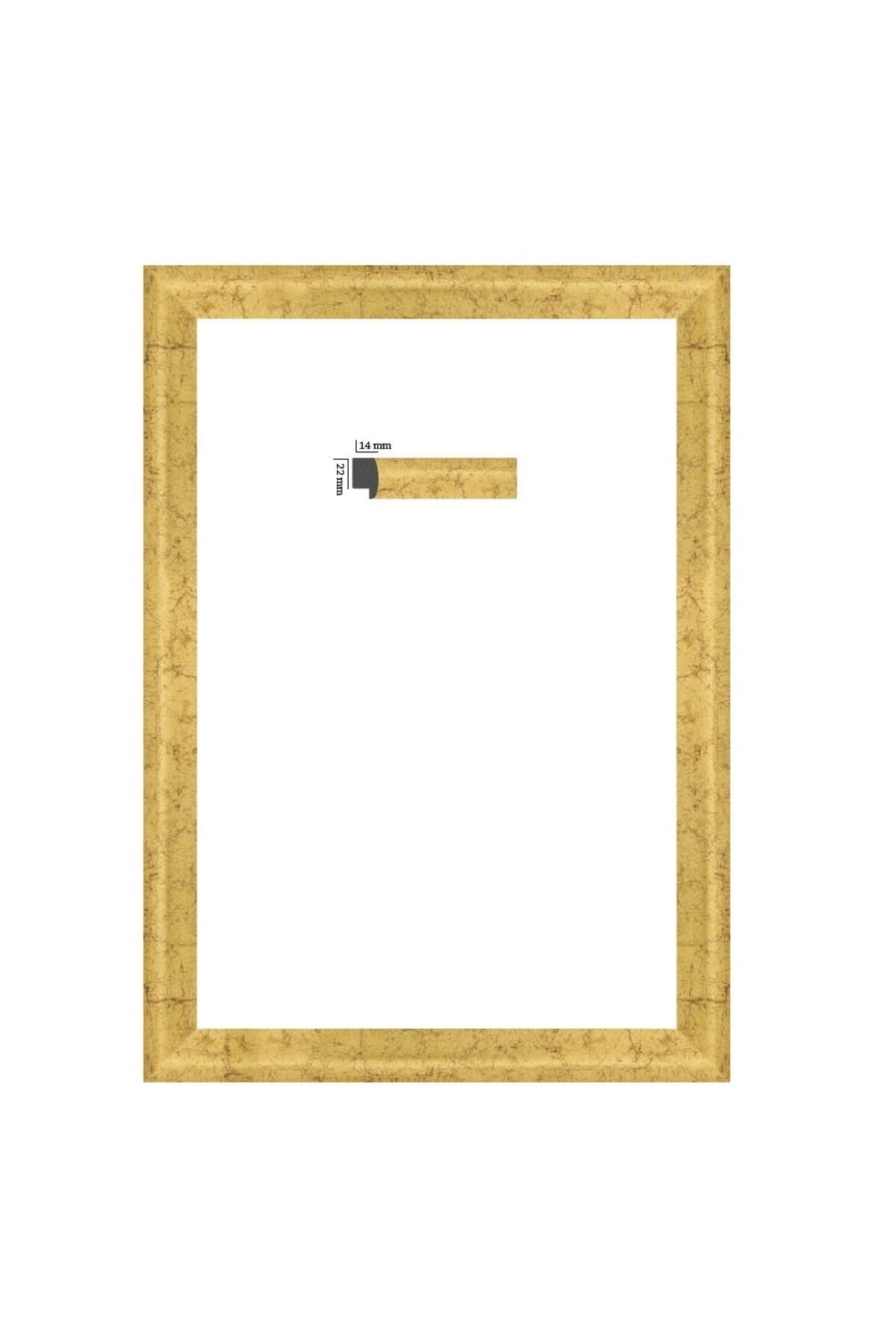 AS TİCARET Puzzle Çerçevesi 22 Mm Pvc Camlı 34x96 Cm Eskitme Yaldız