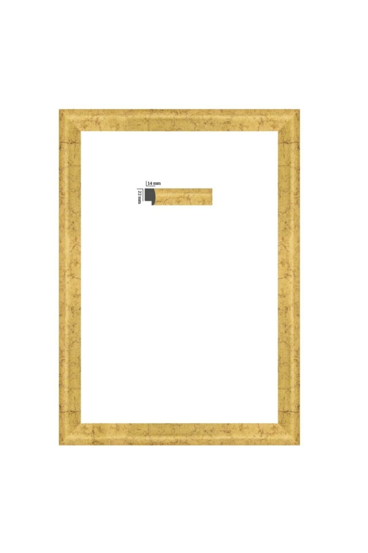 AS TİCARET Puzzle Çerçevesi 22 Mm 50x70 (1000'luk) Eskitme Yaldız