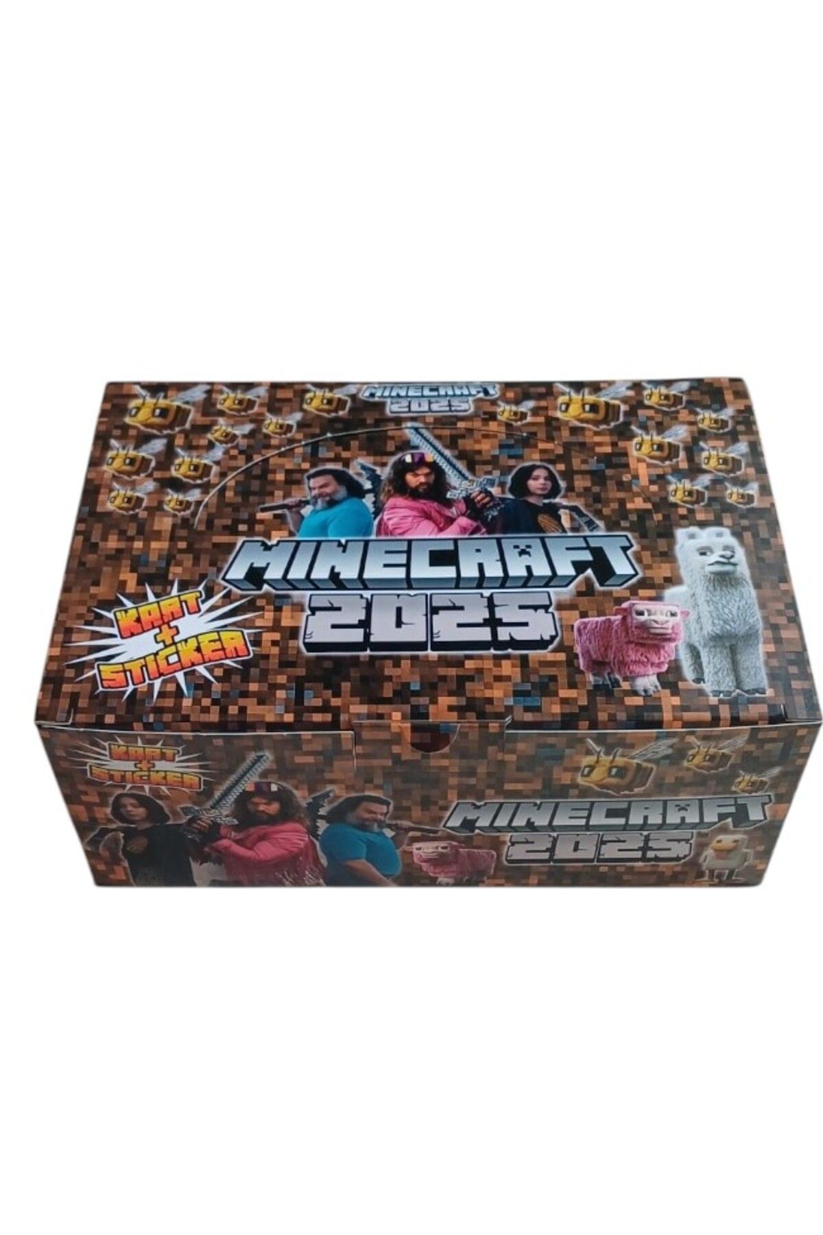 Toys 2025 Karakter Kartları ve Stıcker 48 Adet Mini Kutu (Her Kutuda 6 Kart 1 Stıcker)