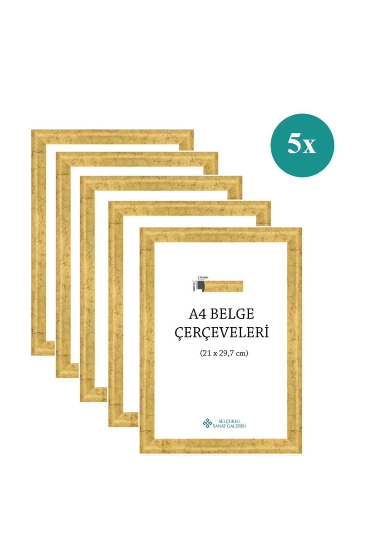 Elioure Yaldızlı A4 Çerçeve 1. Sınıf 22mm 5'li Paket