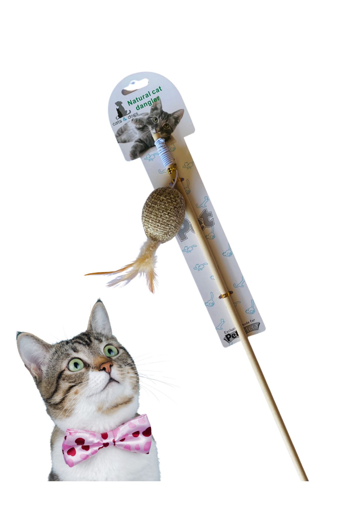 Flip Kedi Toplu Ahşap Kedi Oltası