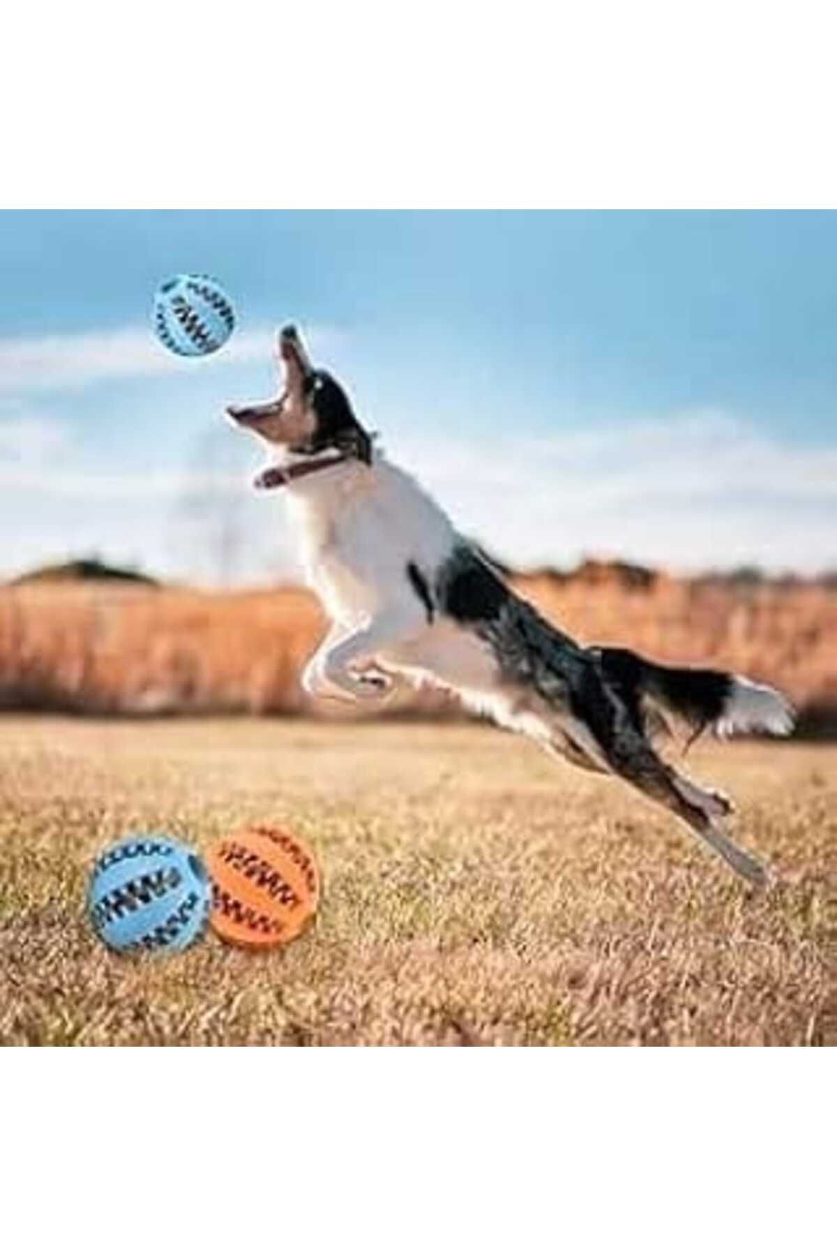 Mu Art (2 Adet) Hazneli Köpek Eğitim Ve Oyun Topu Doğal Kauçuk Eğlence Topu Parçalanmaz Dayanıklı Köpek Oy
