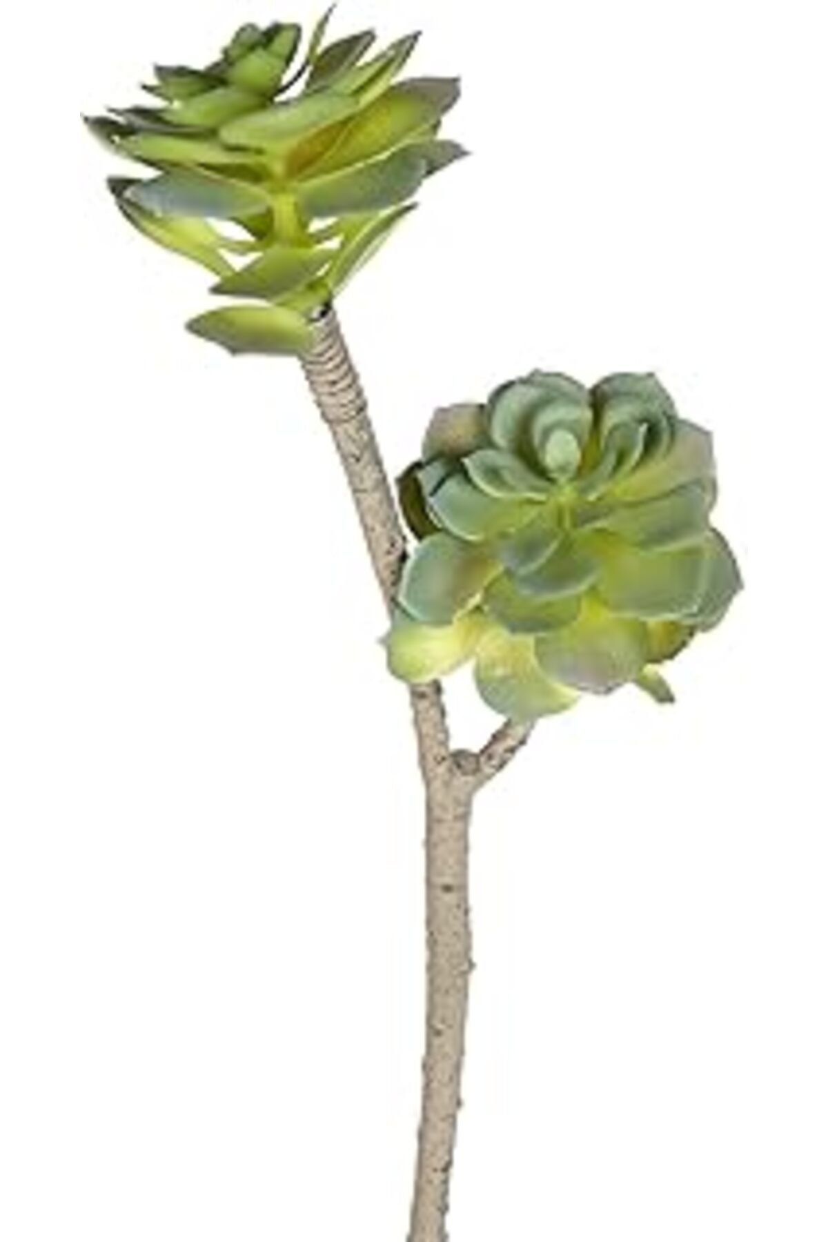 DENİZBİLİŞİM Herdekora Yapay Sukulent Kaktüs Yeşil 50 Cm.