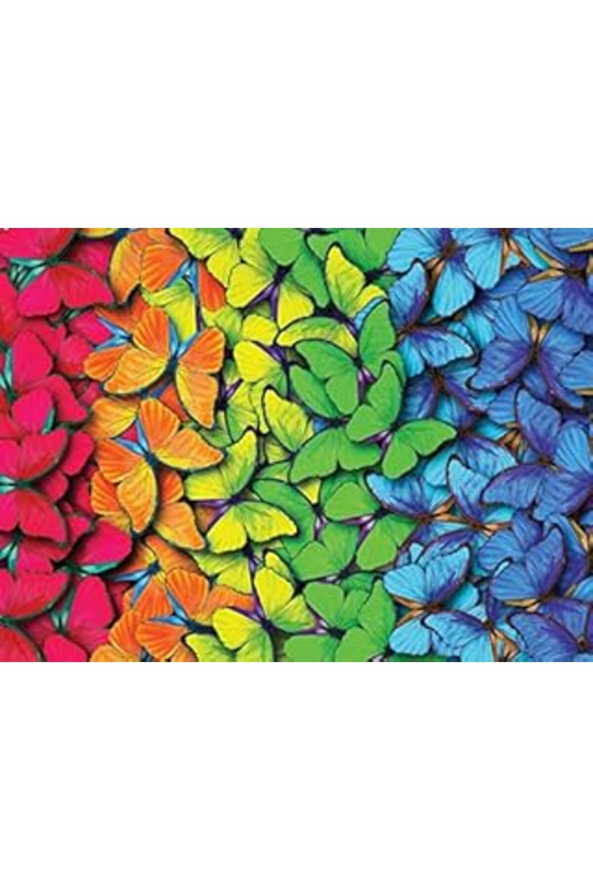 karadağsb Nova Puzzle 1000 Parça Çok Renkli Kelebekler Puzzle