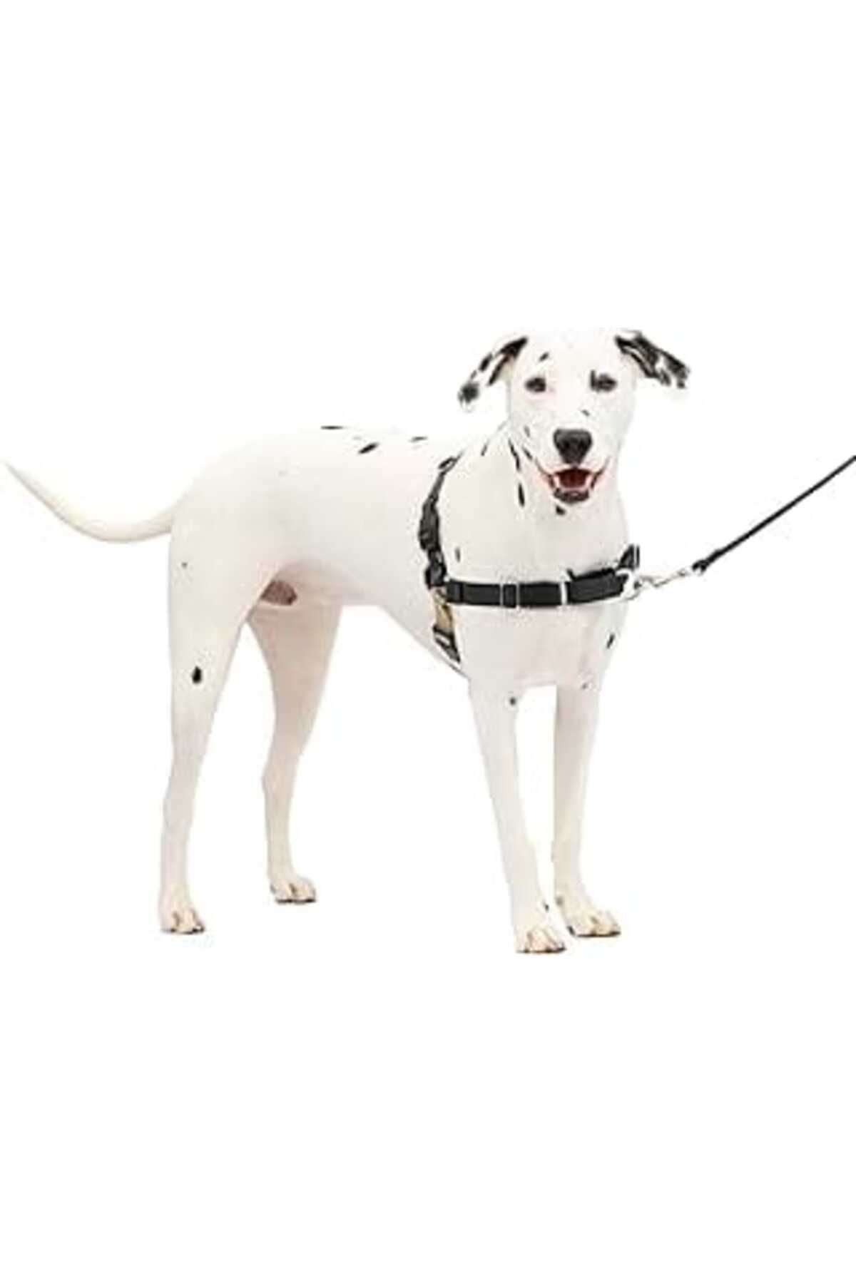 Mu Art Petsafe Easy Walk Köpek Koşum Takımı