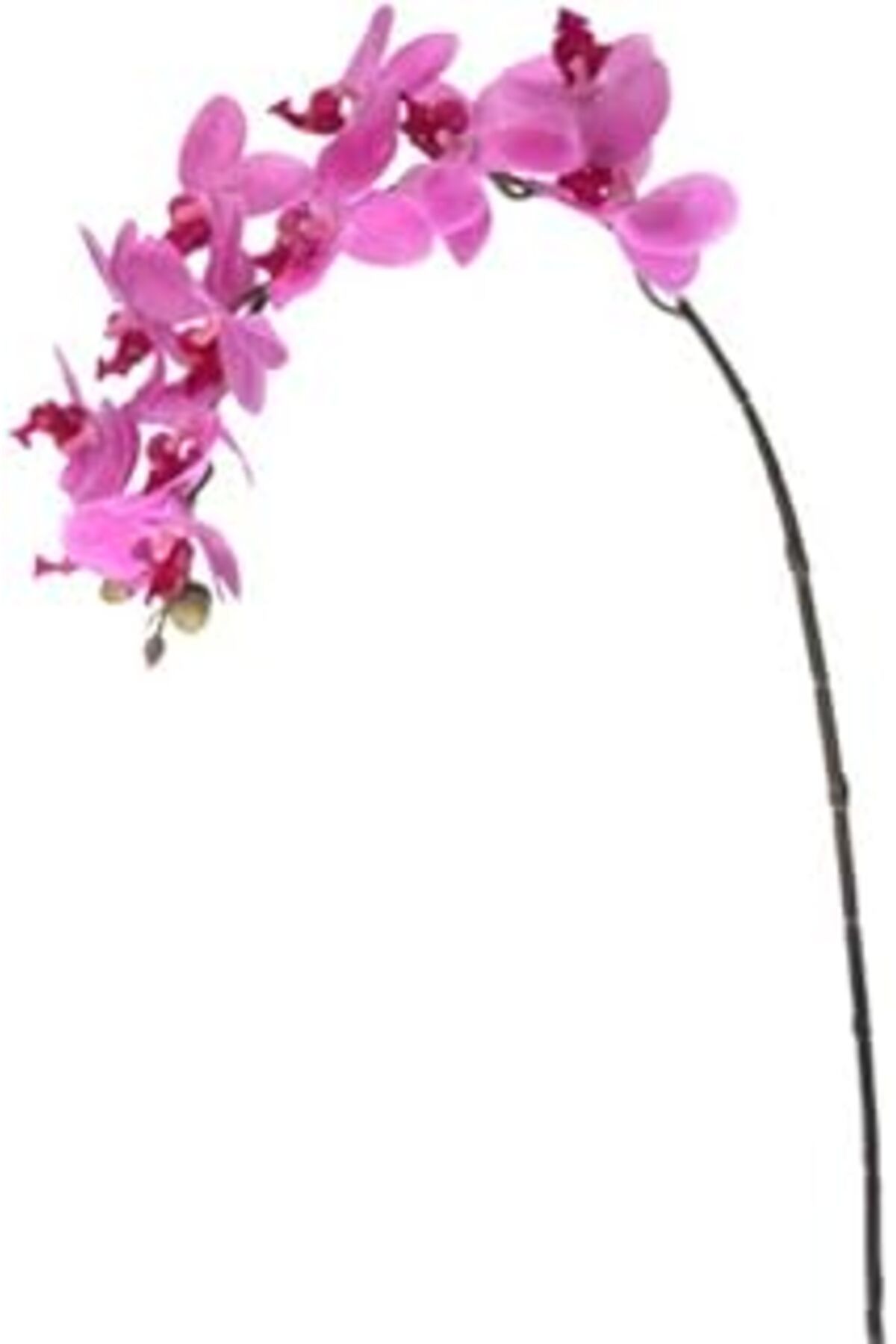 Mu Art Ahşap Euro Flora Yapay Çiçek Orkide 57.5 Cm
