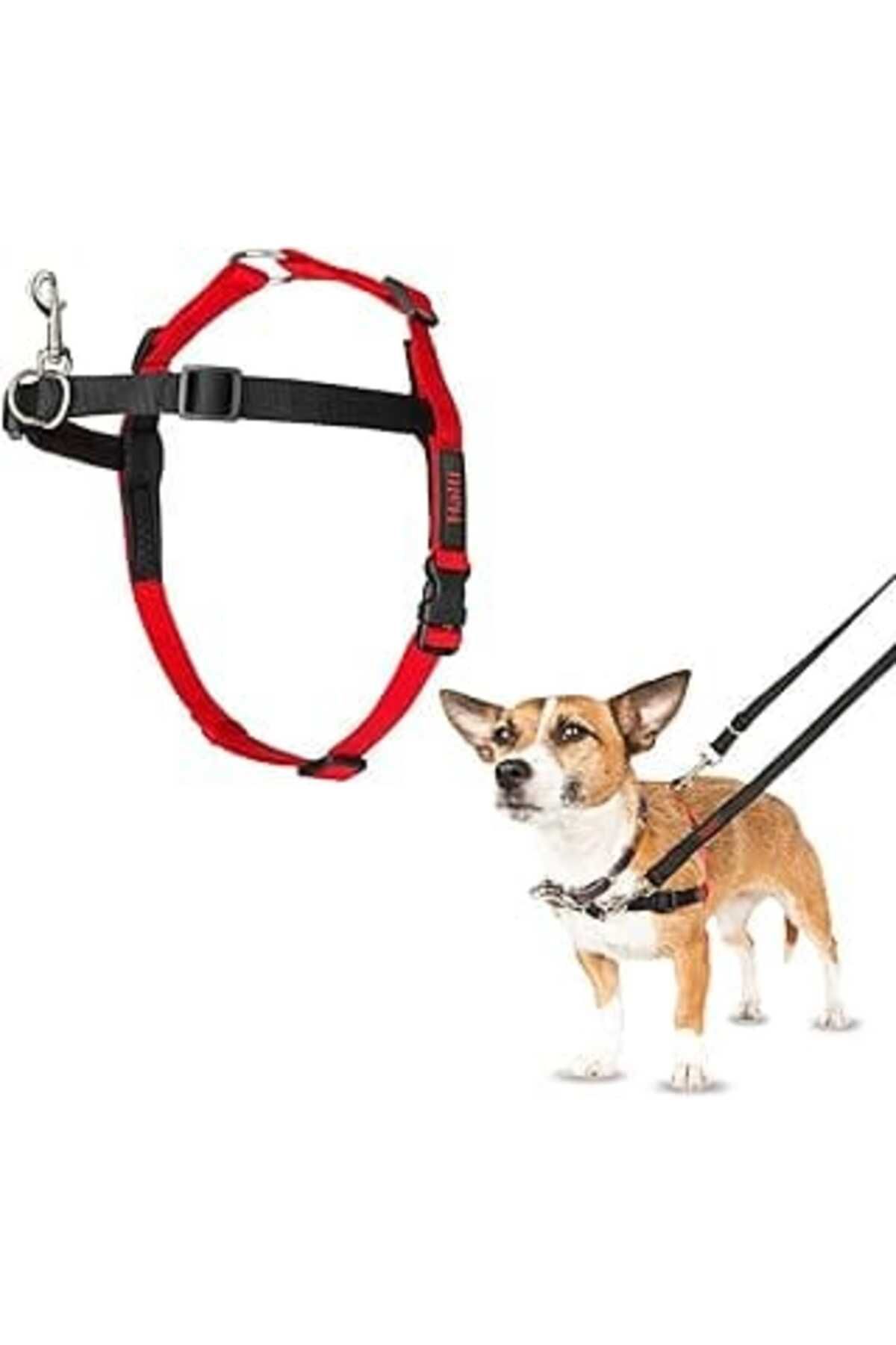 Mu Art Company Of Animals Halti Köpekler Önden Kontrollü Göğüs Tasması, Küçük Boy