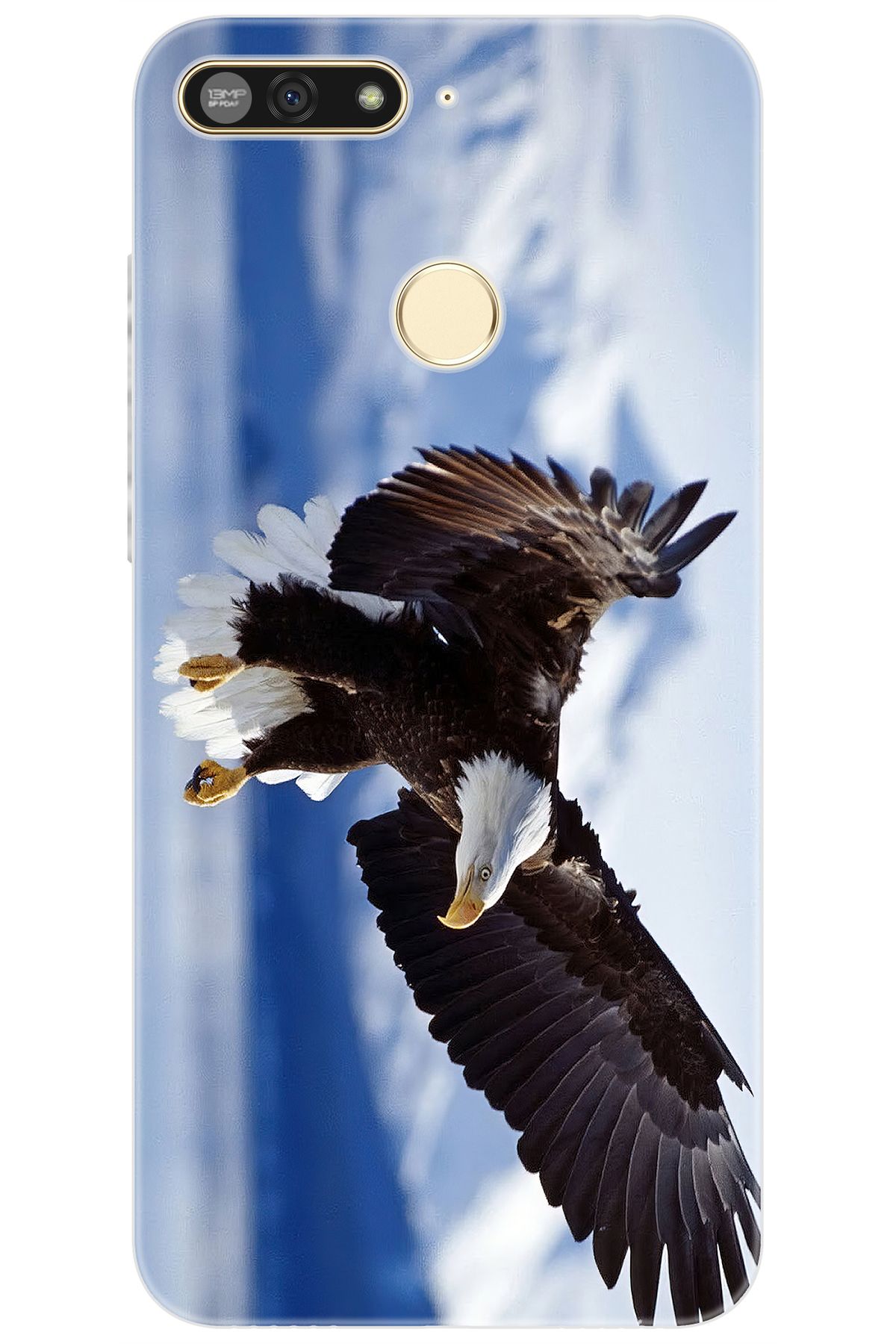Ceppare Huawei Y6 2018 (ATU-L21) Uyumlu Kılıf Desen Baskılı Silikon Kartal STK:183 CP-kzz6nnh