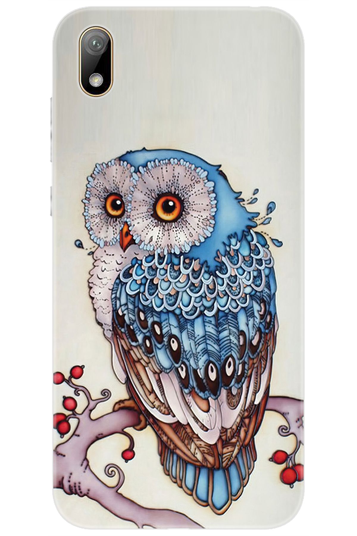 Ceppare Huawei Y5 2019 (AMN-LX2/LX9) Uyumlu Kılıf Desen Baskılı Silikon Baykuş STK:563 CP-lqw1Ra5