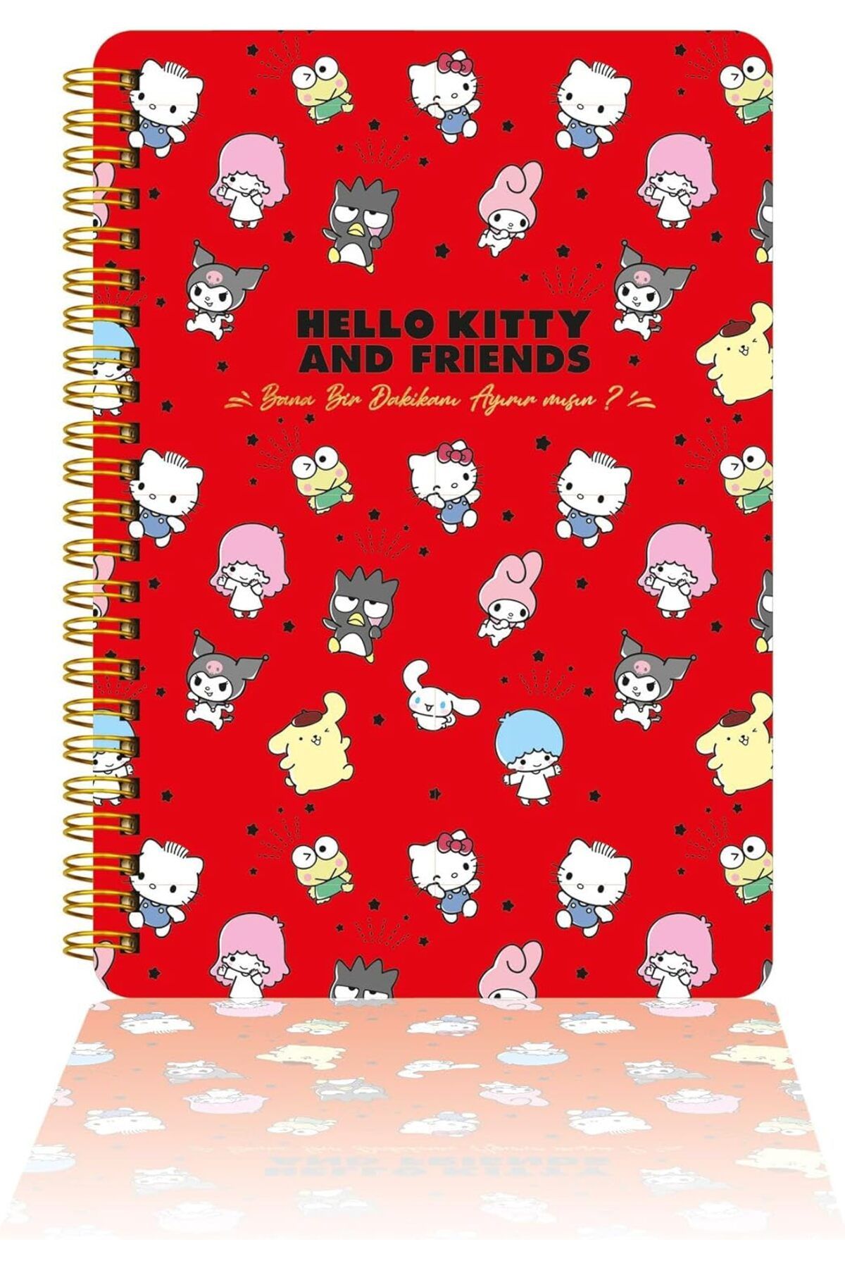 STOREMAX nffashopm Kitty Ve Arkadaşları Spiralli Günlük (JOURNAL) 14x20cm - Bana 1 Dk Ayırabilir Misin?