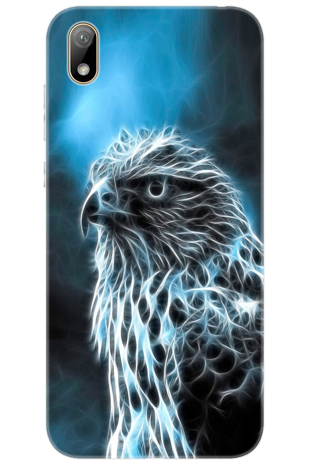 Ceppare Huawei Y5 2019 (AMN-LX2/LX9) Uyumlu Kılıf Desen Baskılı Silikon Şahin STK:196 CP-k06se2C