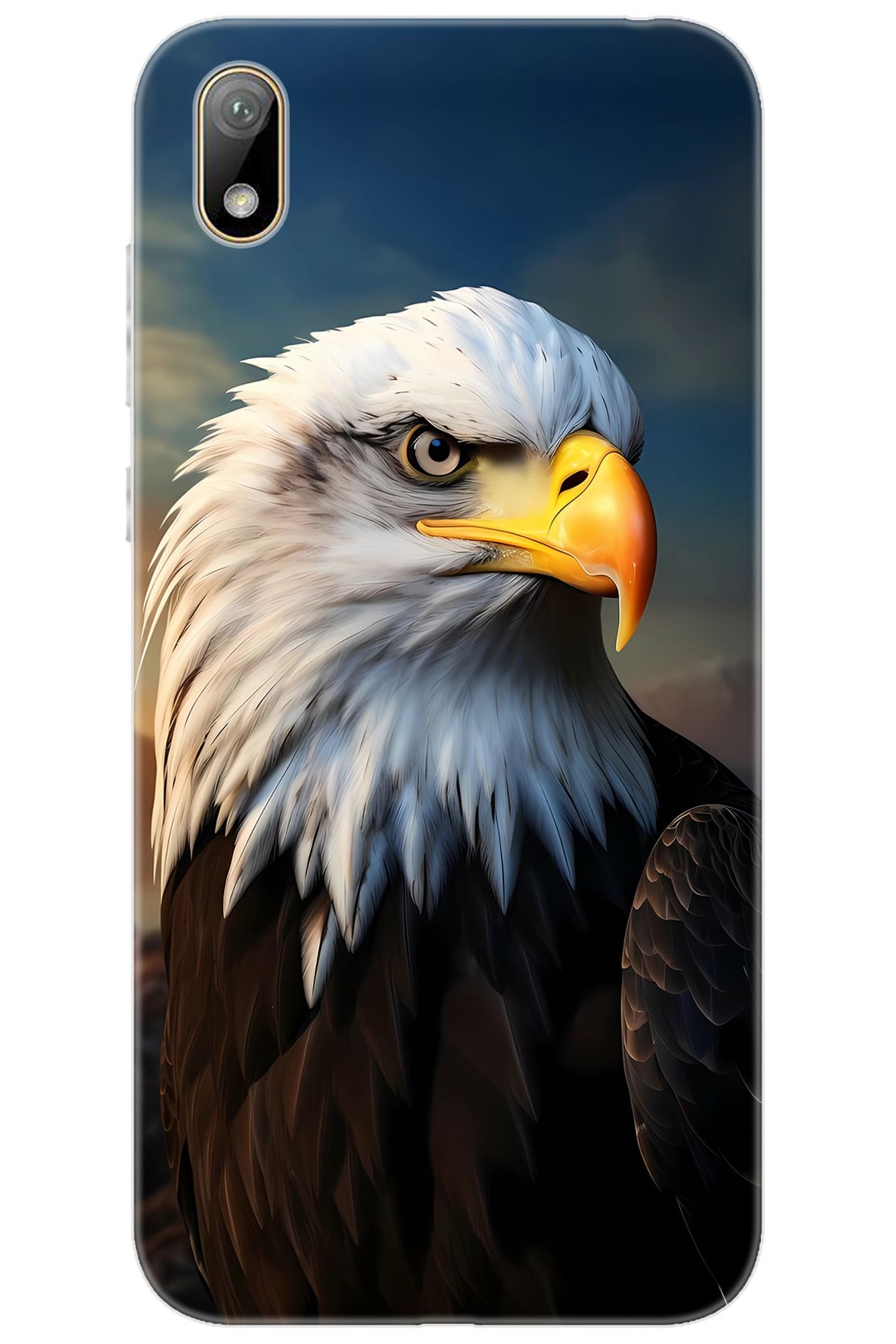 Ceppare Huawei Y5 2019 (AMN-LX2/LX9) Uyumlu Kılıf Desen Baskılı Silikon Kartal STK:687 CP-bFxFWdS