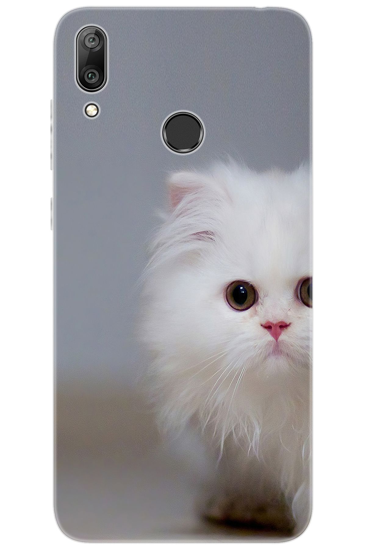 Ceppare Huawei Y7 Prime 2019 (DUB-LX3) Uyumlu Kılıf Desen Baskı Silikon Beyaz Kedi STK:139 CP-uTRLHpn