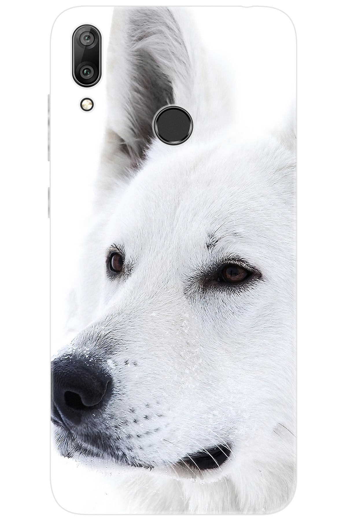 Ceppare Huawei Y7 Prime 2019 (DUB-LX3) Uyumlu Kılıf Desen Baskı Silikon Beyaz Kurt STK:169 CP-aBIYgdE