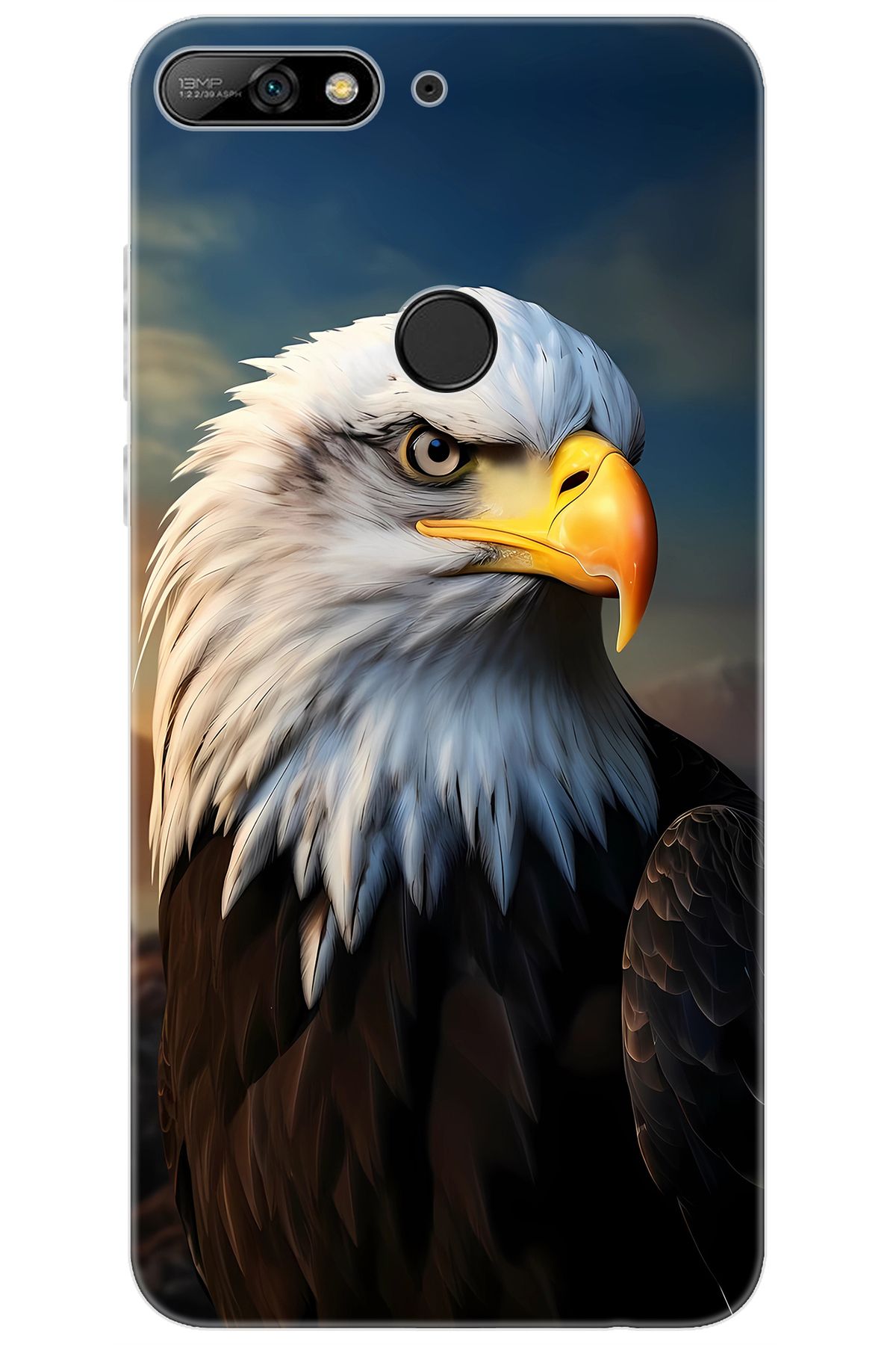 Ceppare Huawei Y7 Prime 2018 (LDN-L21) Uyumlu Kılıf Desen Baskı Silikon Kartal STK:687 CP-buzLys0