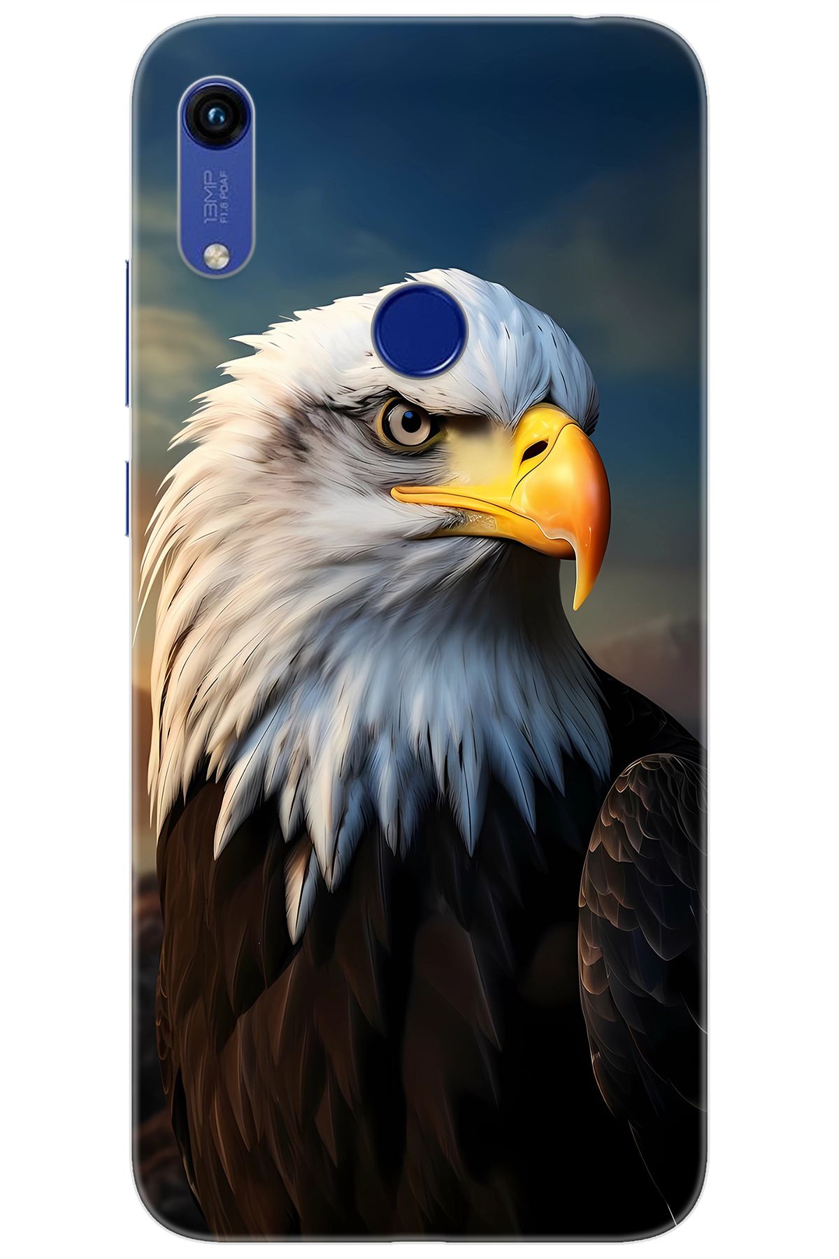 Ceppare Huawei Y6 2019 (MRD-LX1) Uyumlu Kılıf Desen Baskılı Silikon Kartal STK:687 CP-bSohmSg