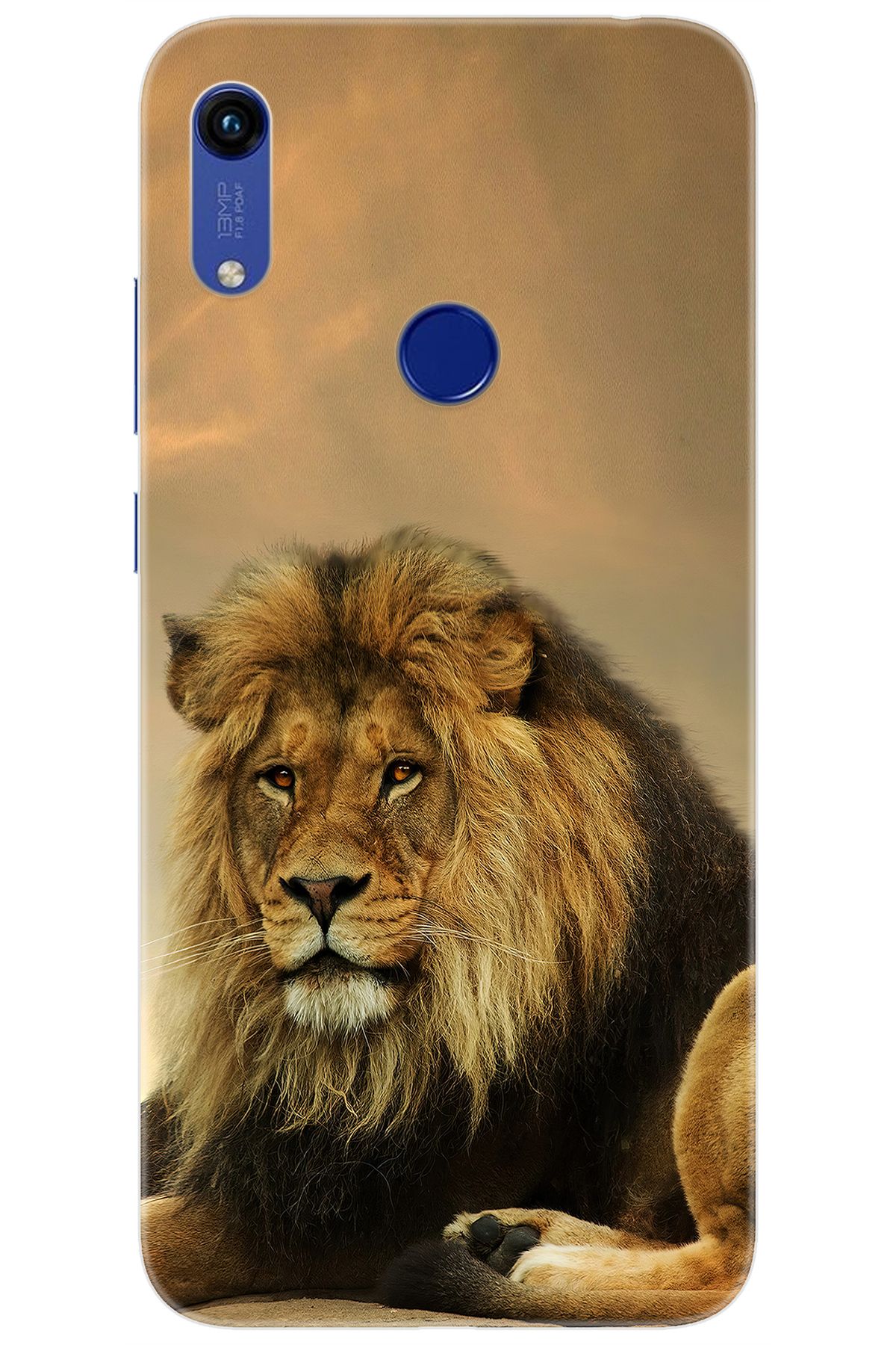Ceppare Huawei Y6 2019 (MRD-LX1) Uyumlu Kılıf Desen Baskılı Silikon Kral Aslan STK:207 CP-3kJB3m2